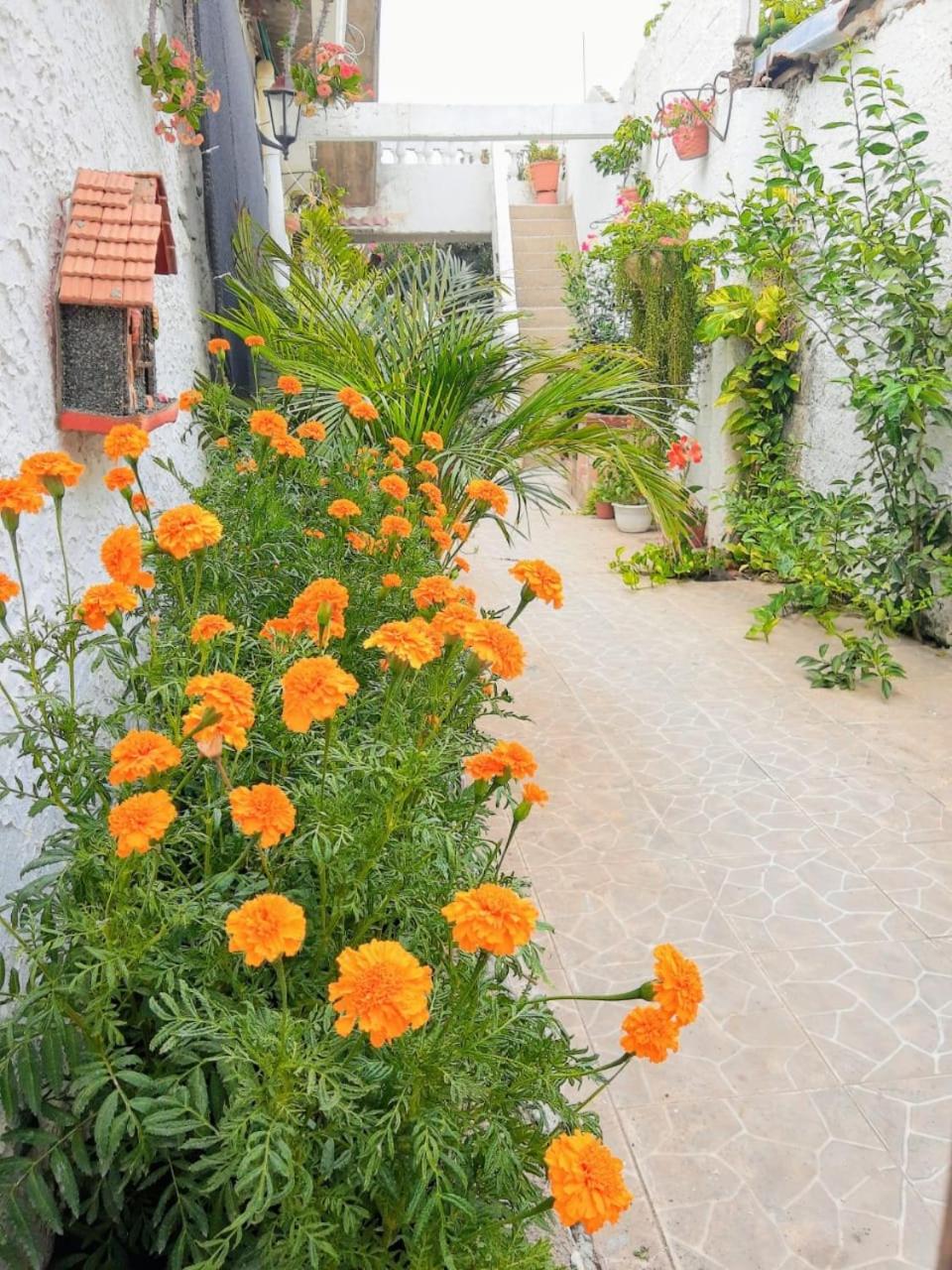 Hostal Solsticio Guajiro