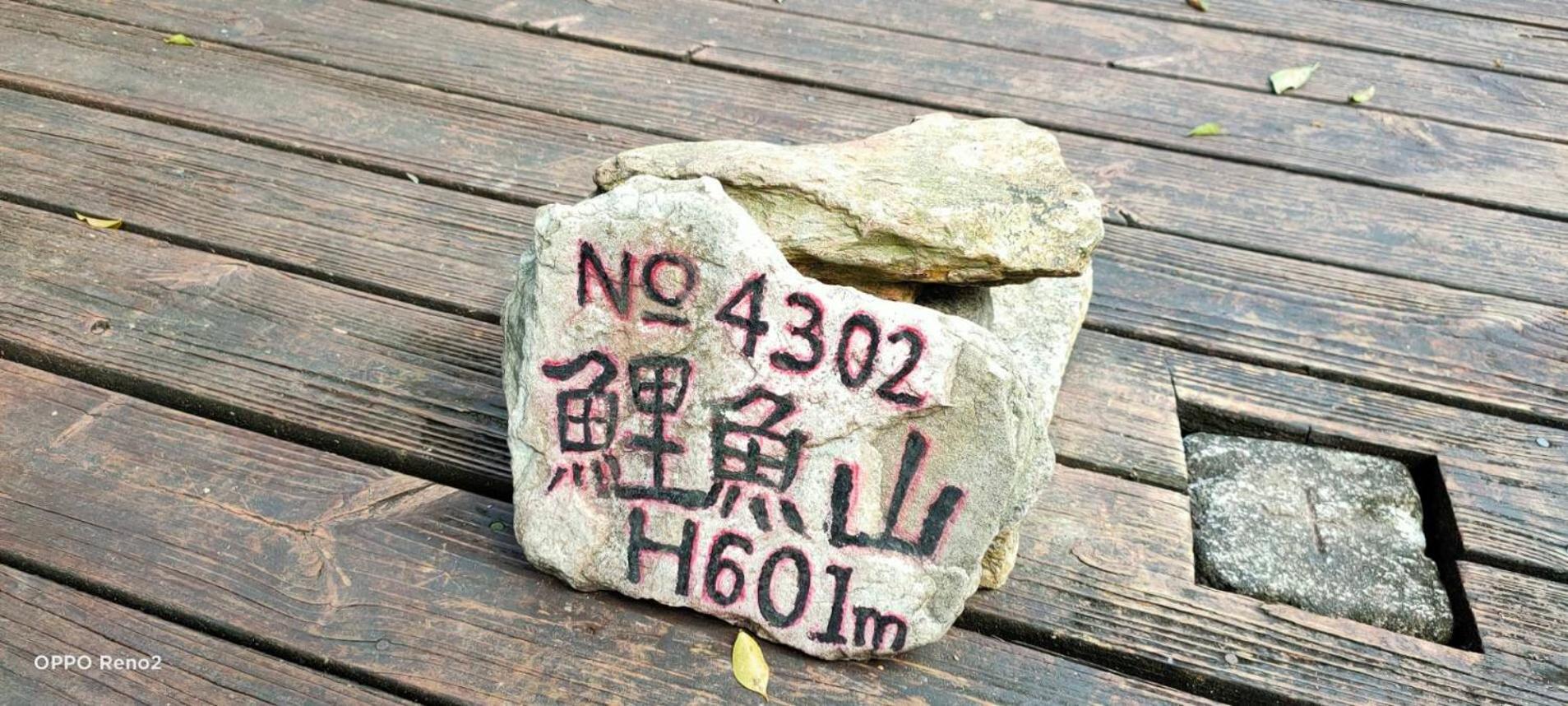 Lakeside 46