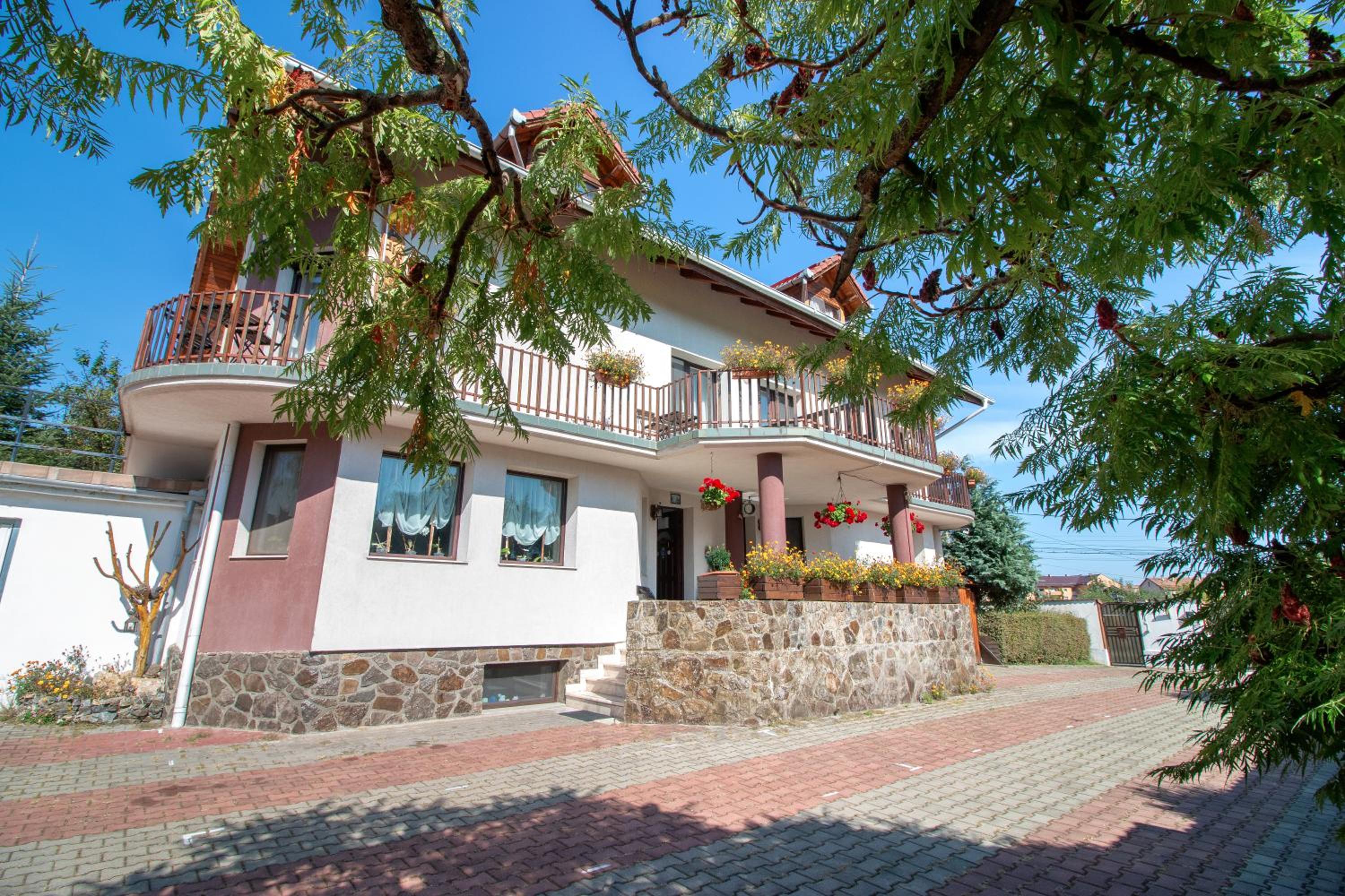 Casa Din Noua view 5