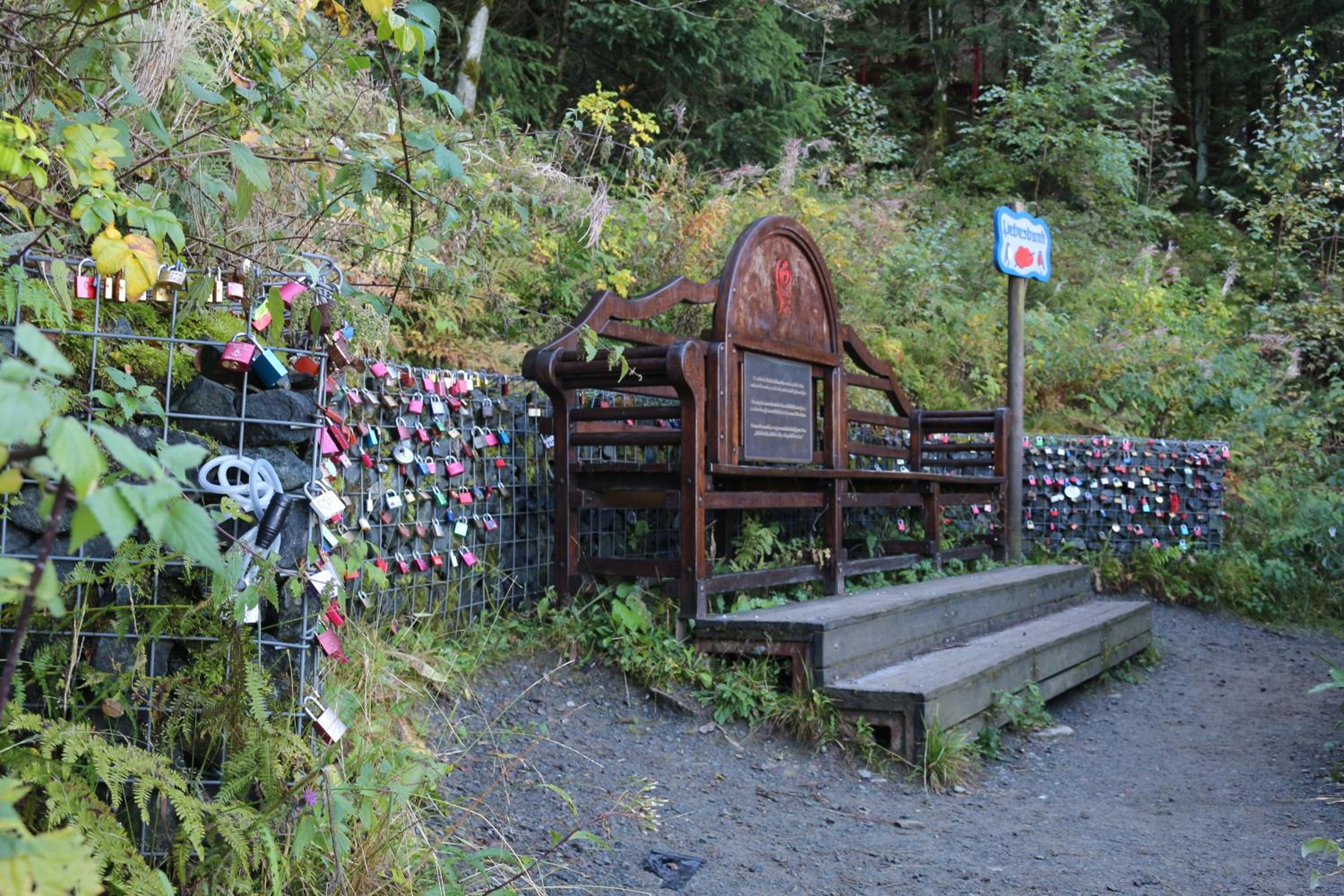 Photo 41