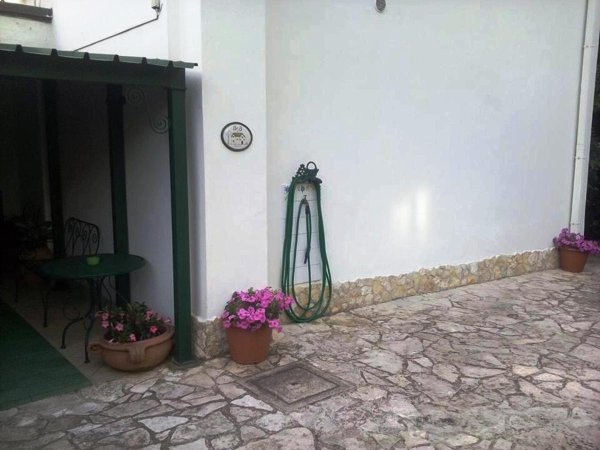 Photo 33
