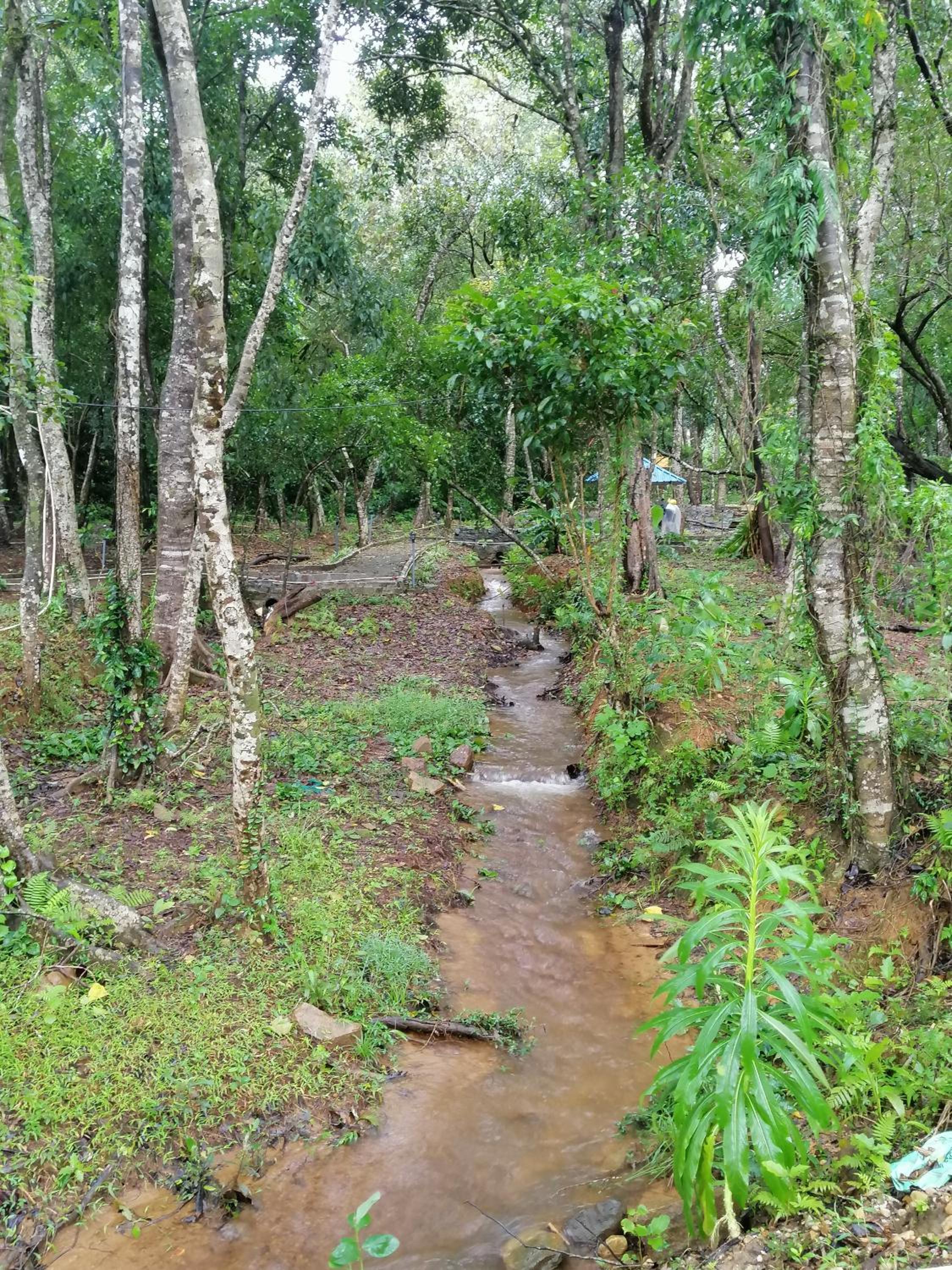 Friendz Homestay view 3