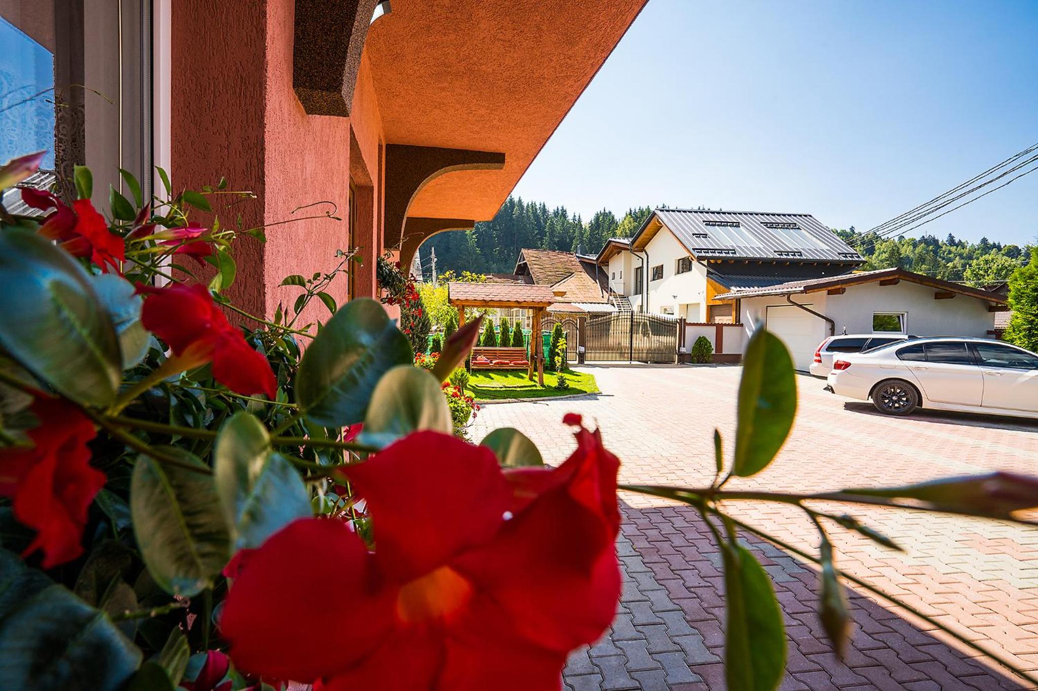 Vila Mery, photo 24