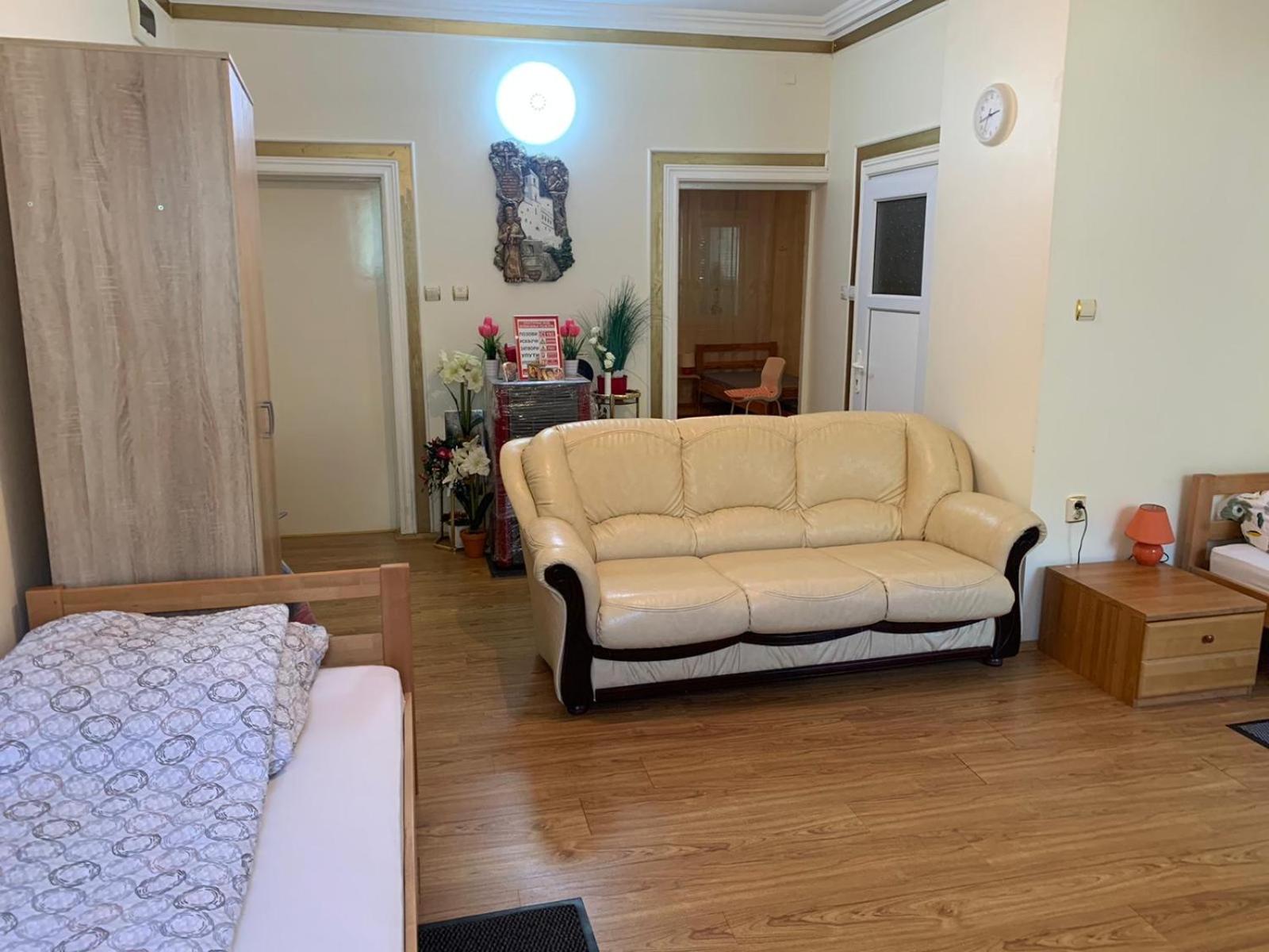 Apartman Pejica view 5