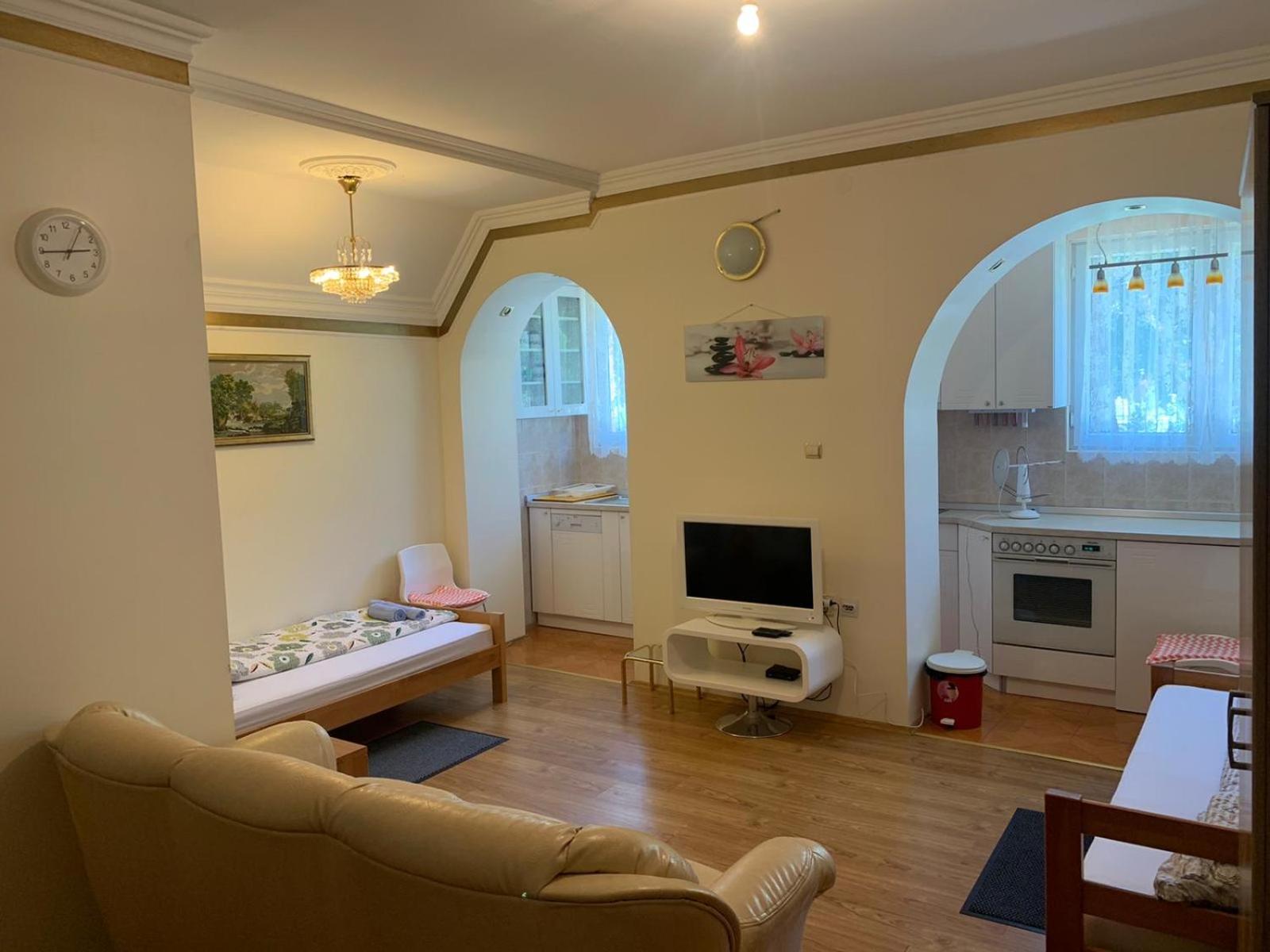 Apartman Pejica view 4