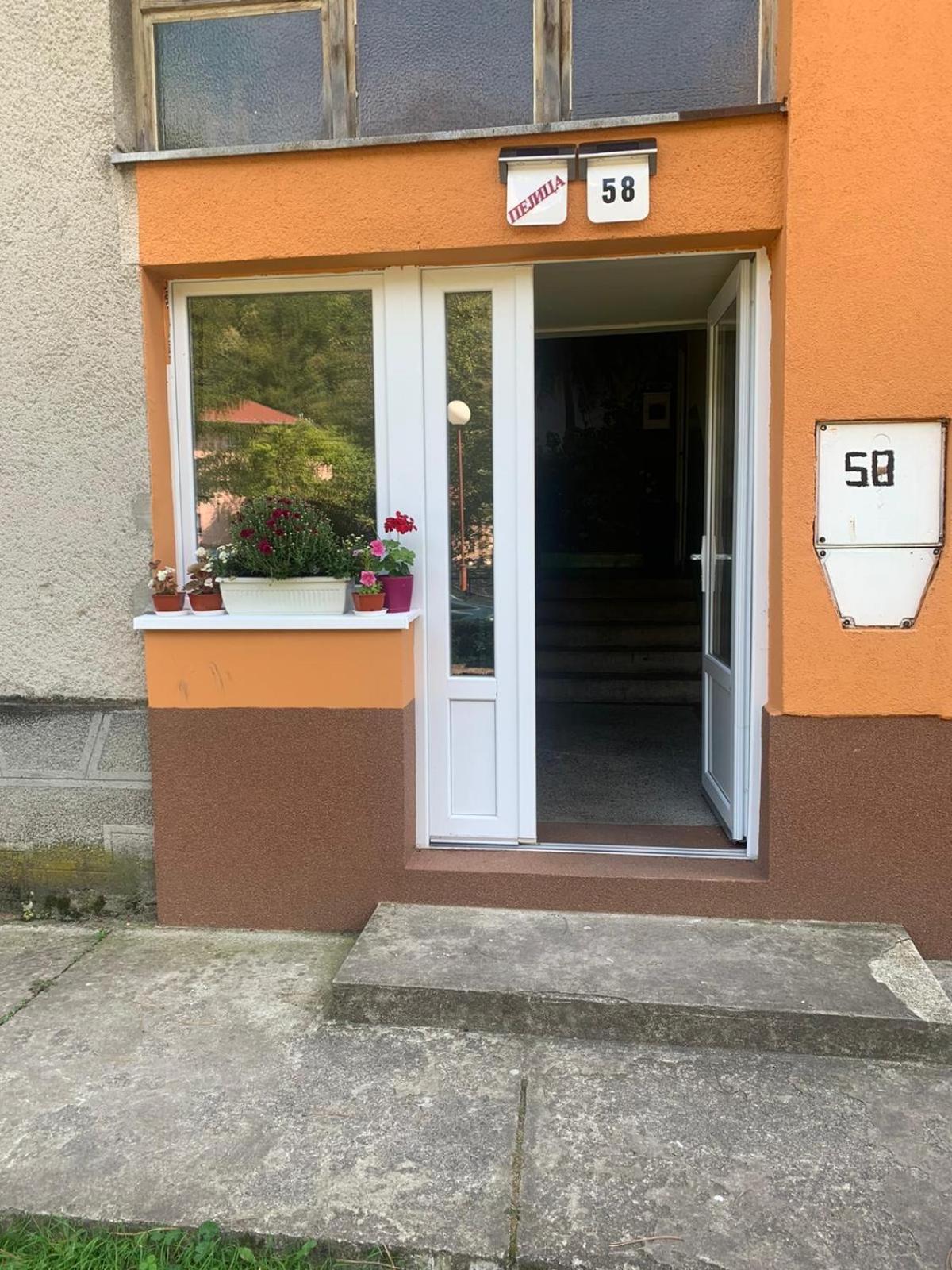 Apartman Pejica view 2