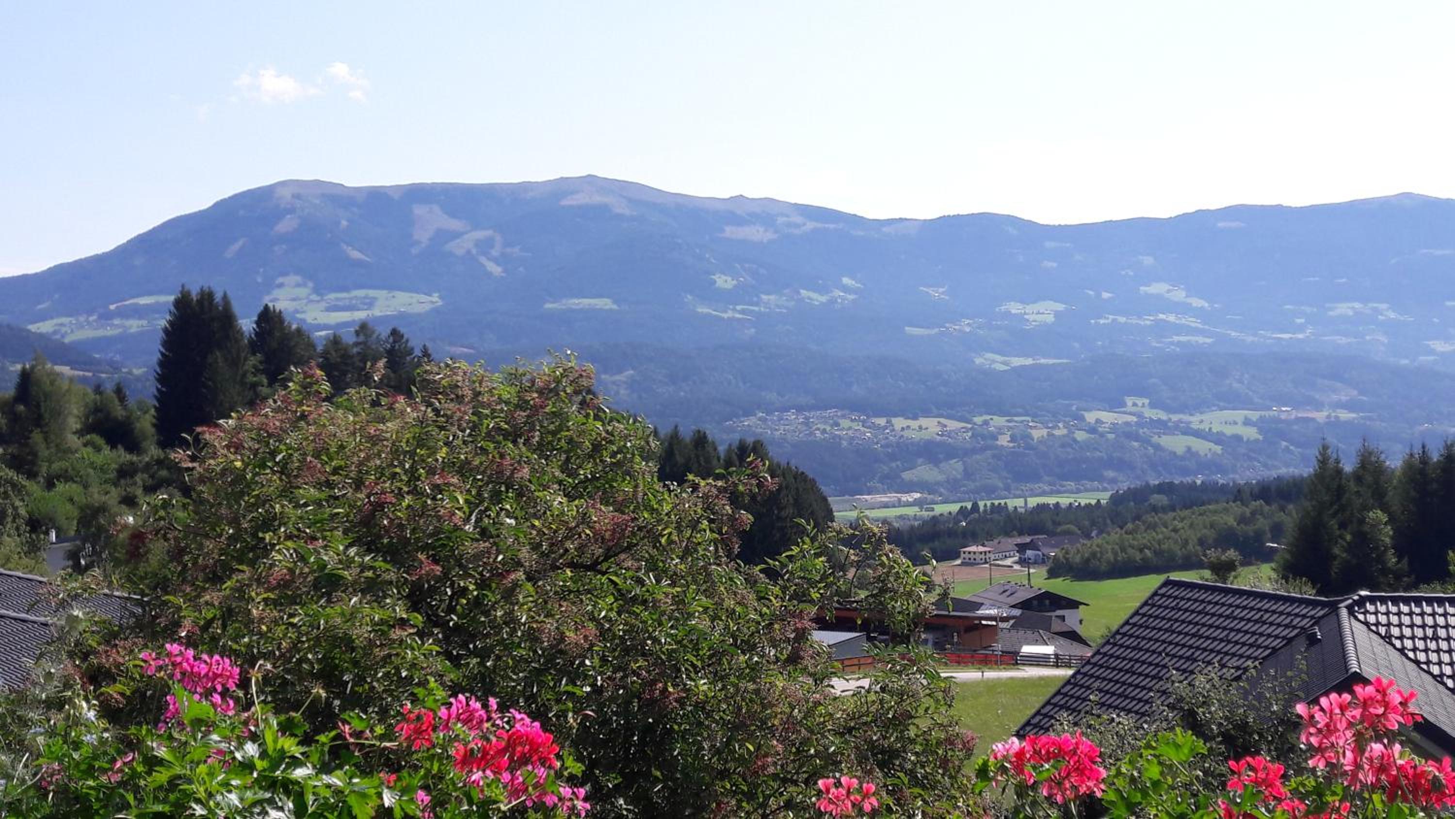 Ferienwohnung Gästehaus Inge view 4