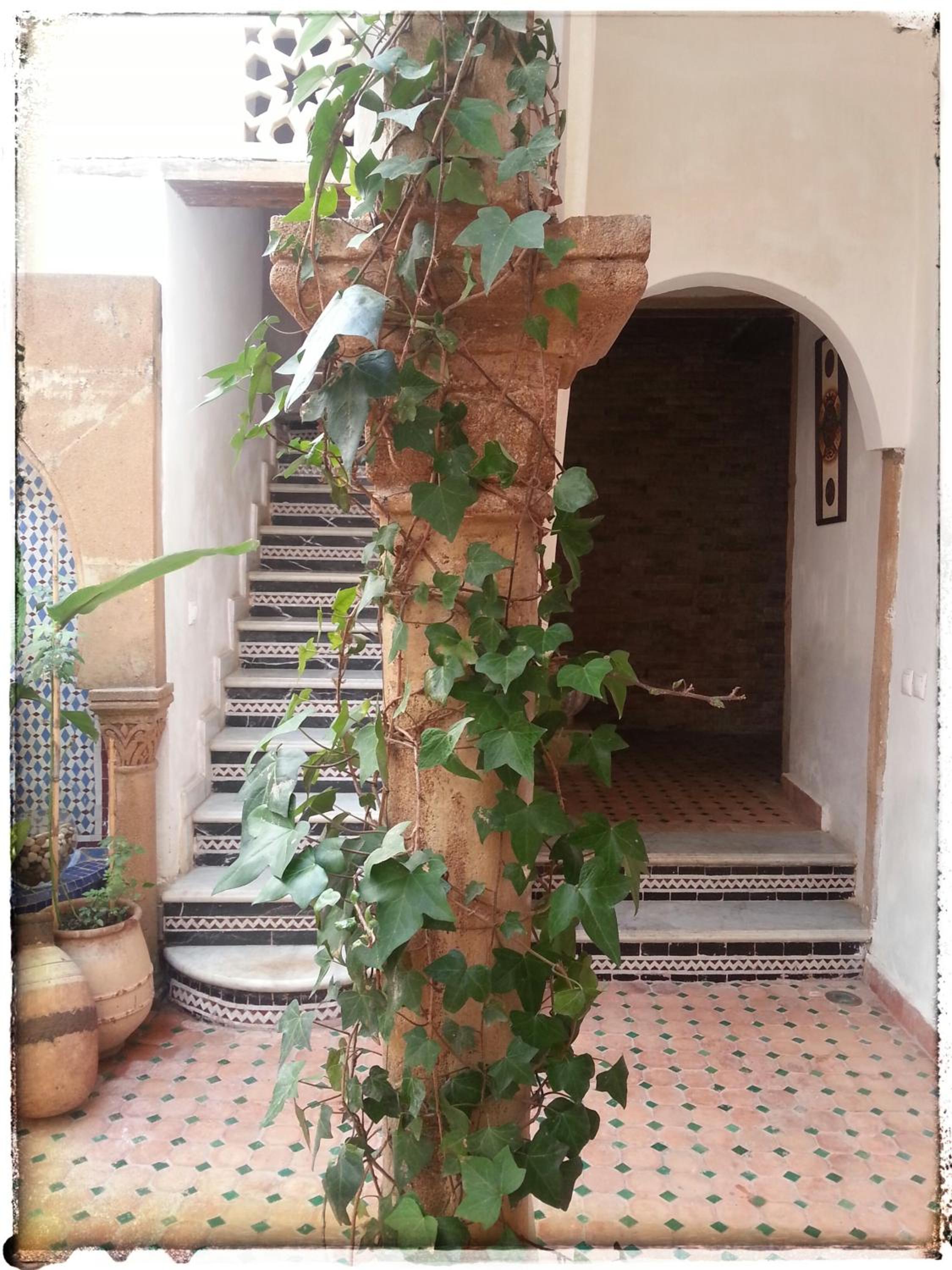 Riad El Bir
