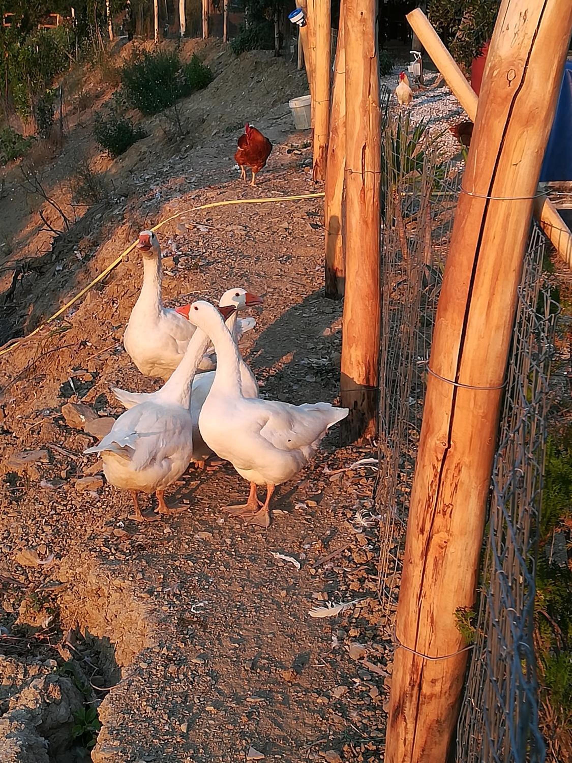 Dimora dei Cardinali