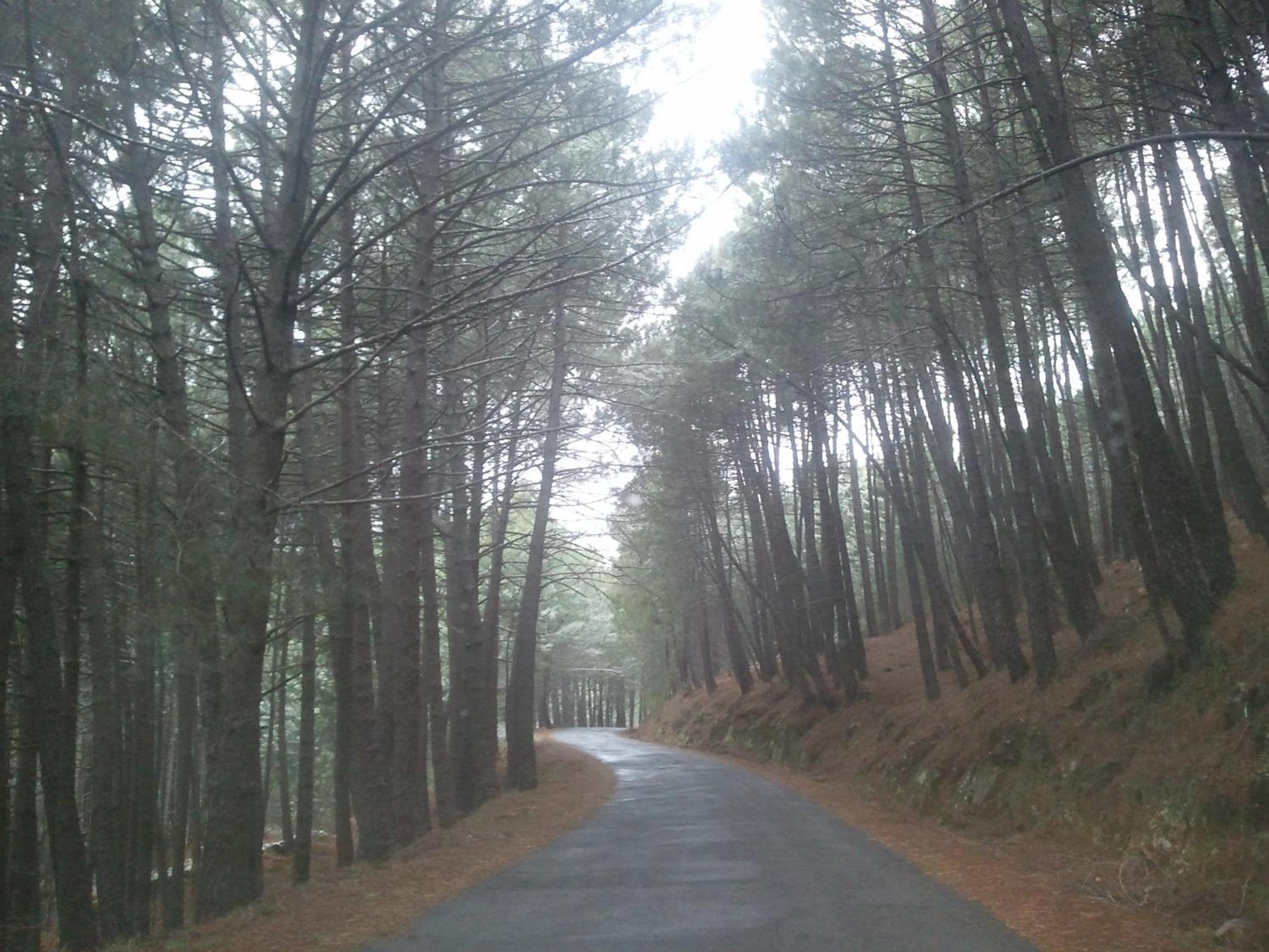 Hostal Fogón de Gredos