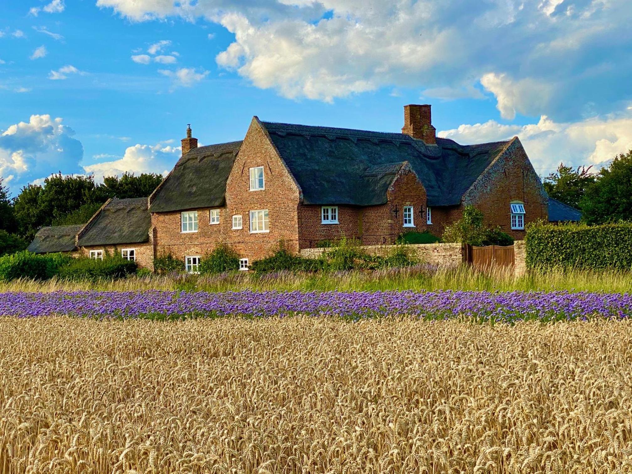 Old Hall Country Breaks view 4