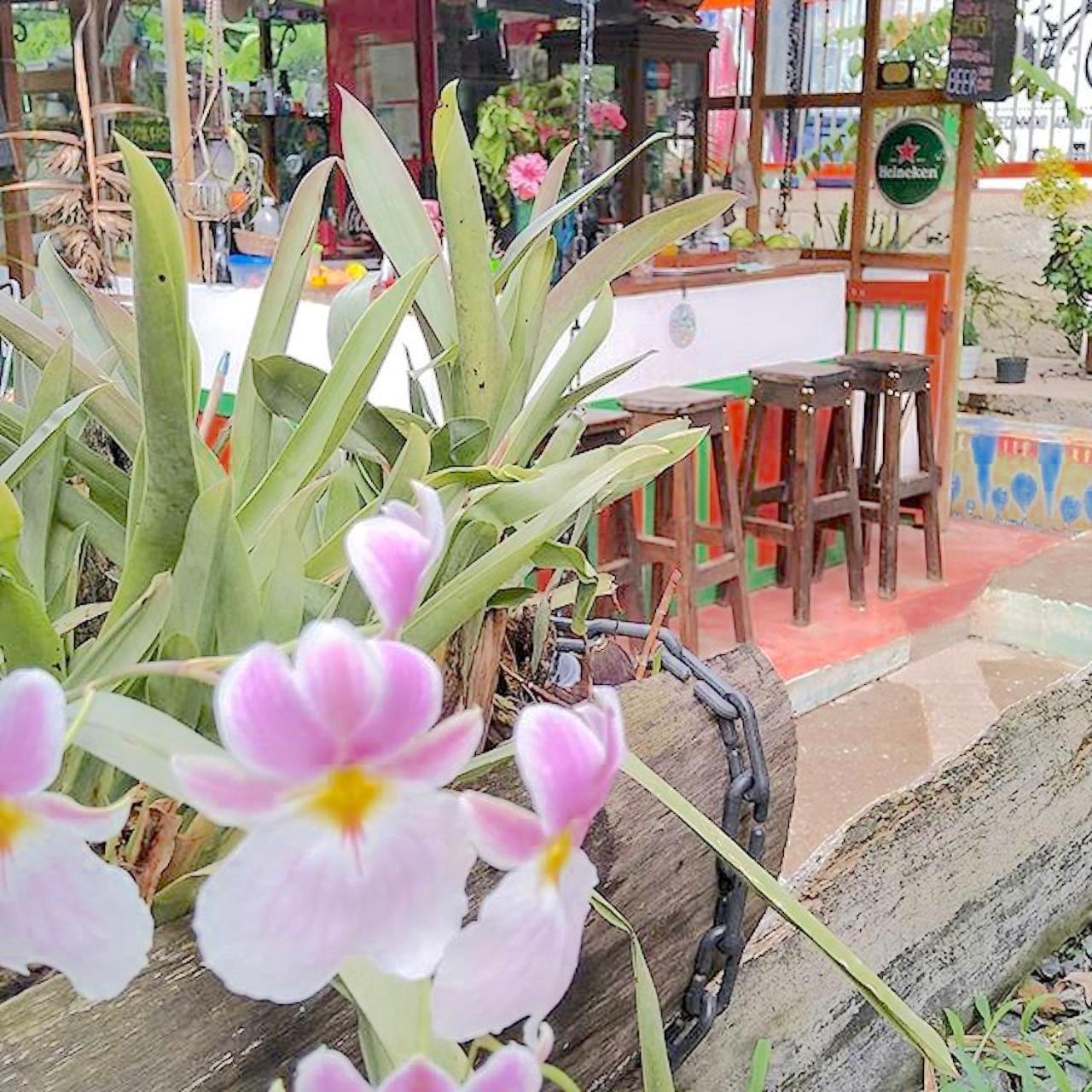 Hostal Estrella de Agua