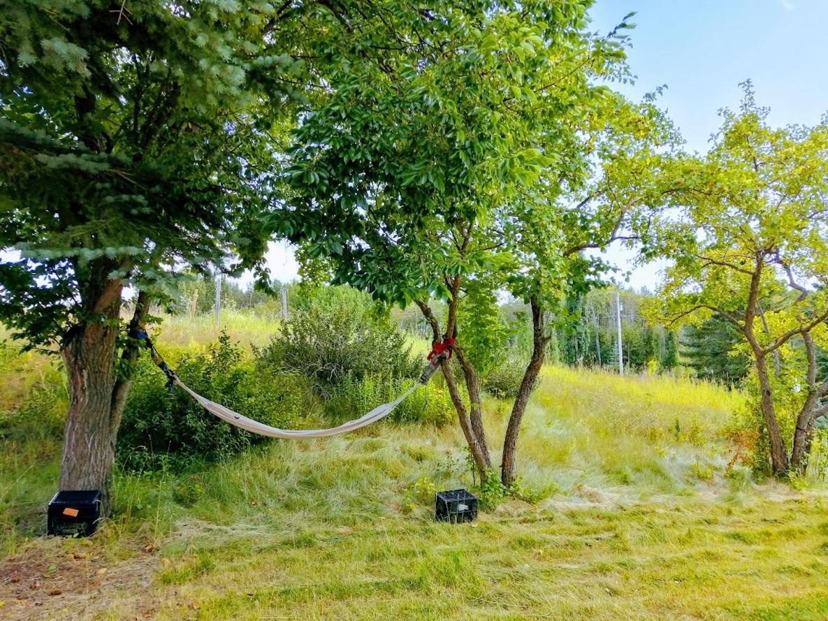 Green Village