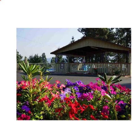 Swiss Holiday Lodge