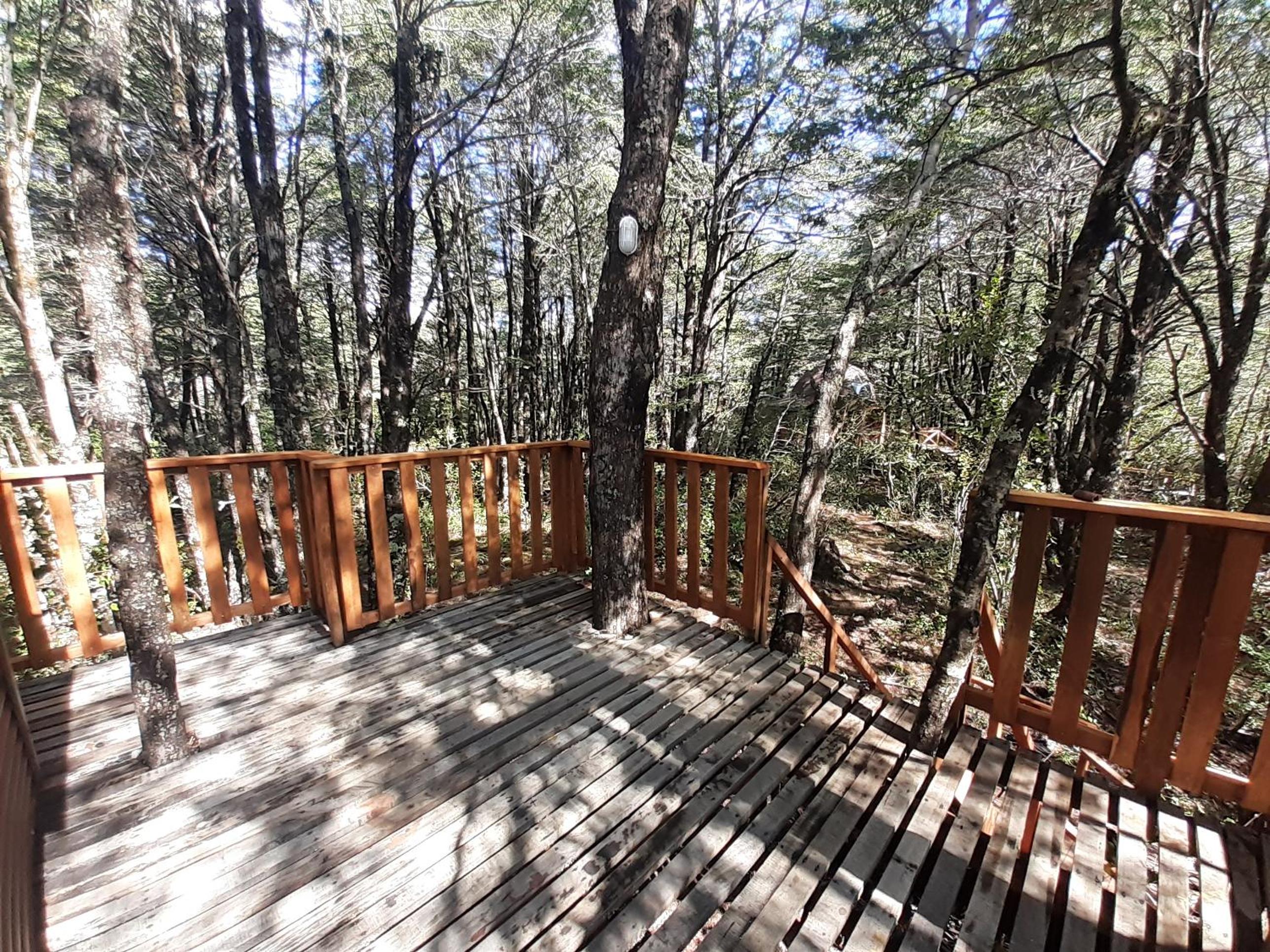 Domos Entre Bosques