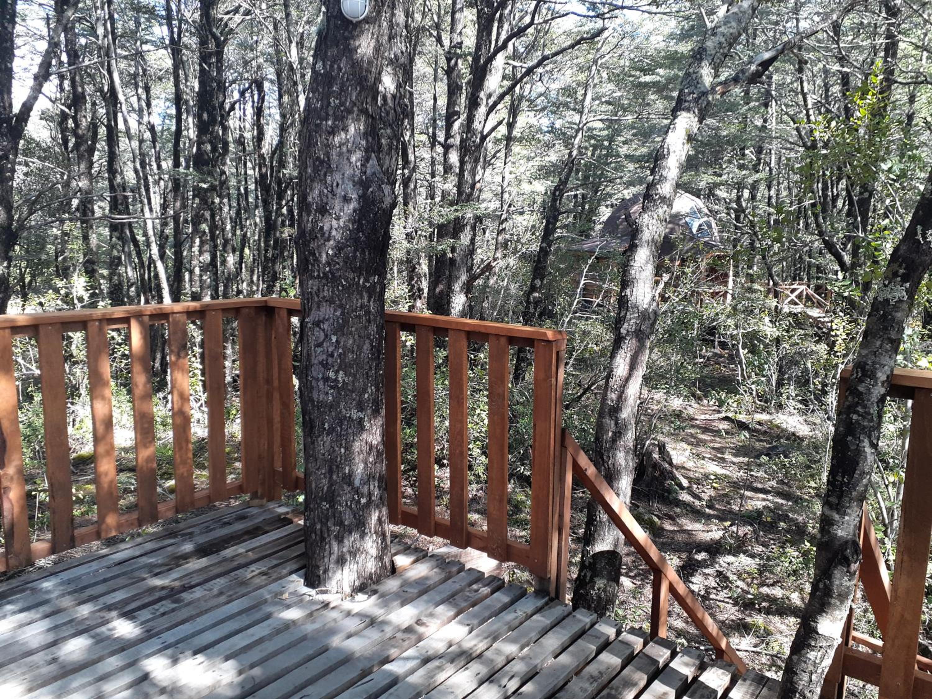 Domos Entre Bosques