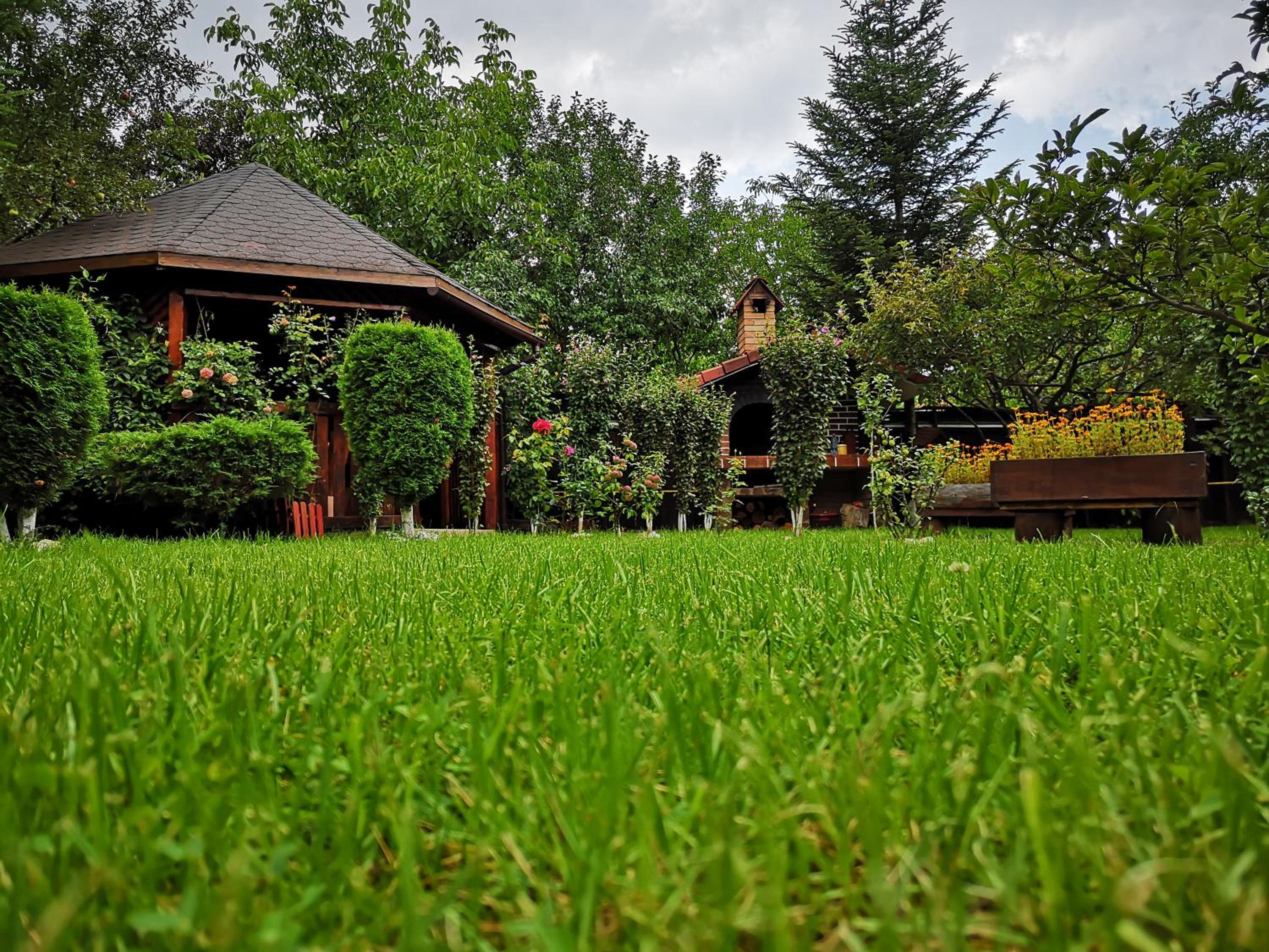 Photo 40