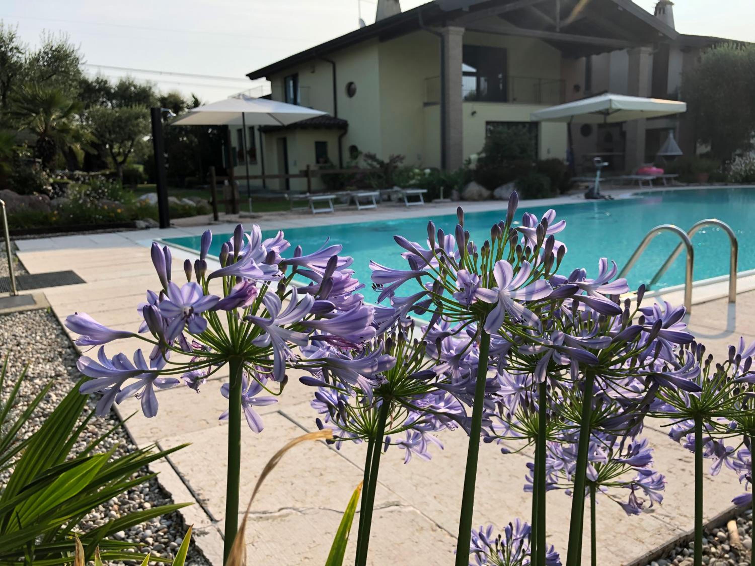 agriturismo" il glicine bianco" view 4
