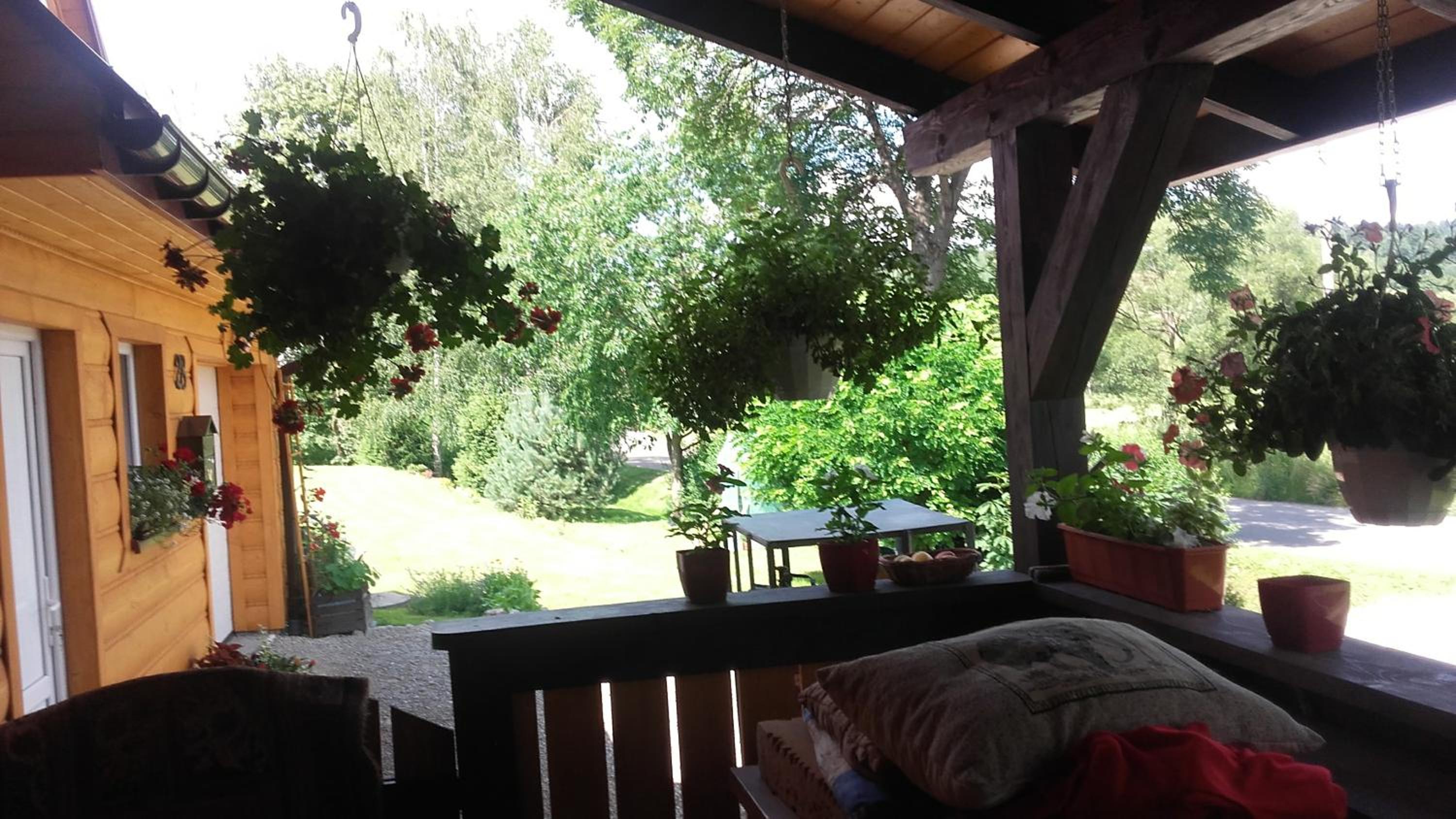 Photo 6