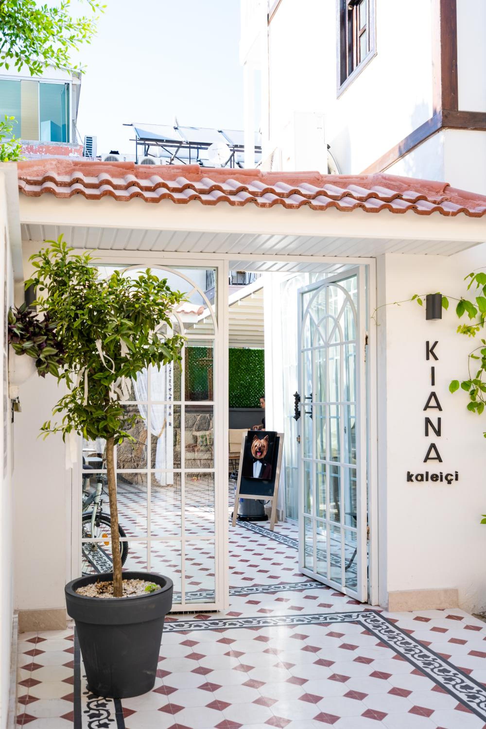 KIANA KALEİÇİ - Image 42