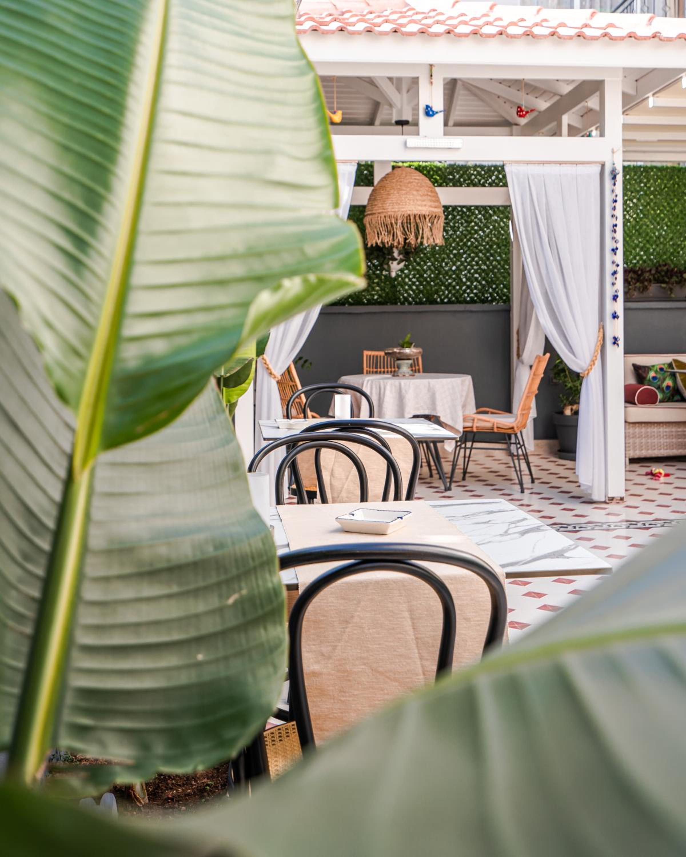 KIANA KALEİÇİ - Image 9