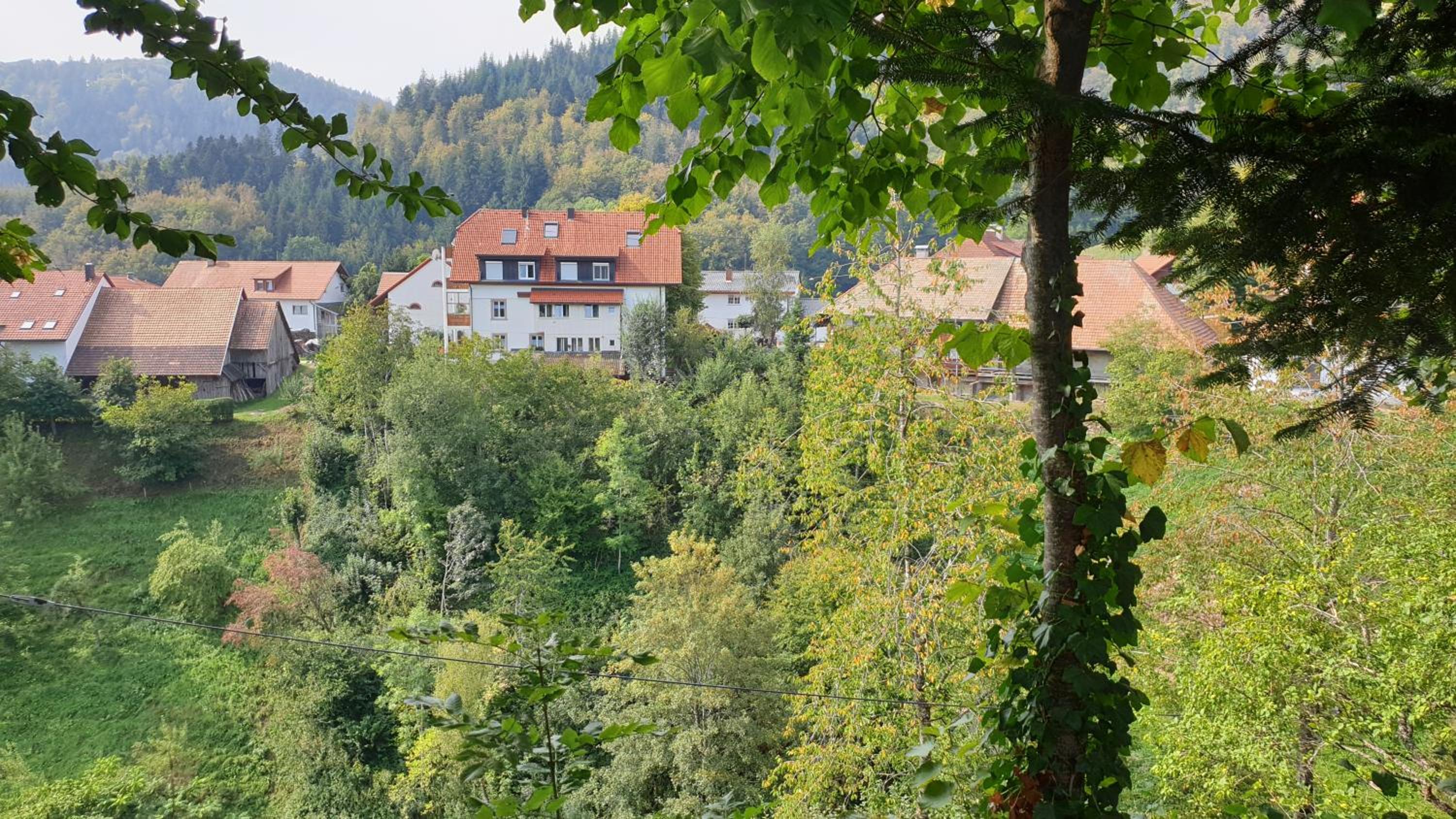 Ferienwohnung auf dem Bückle
