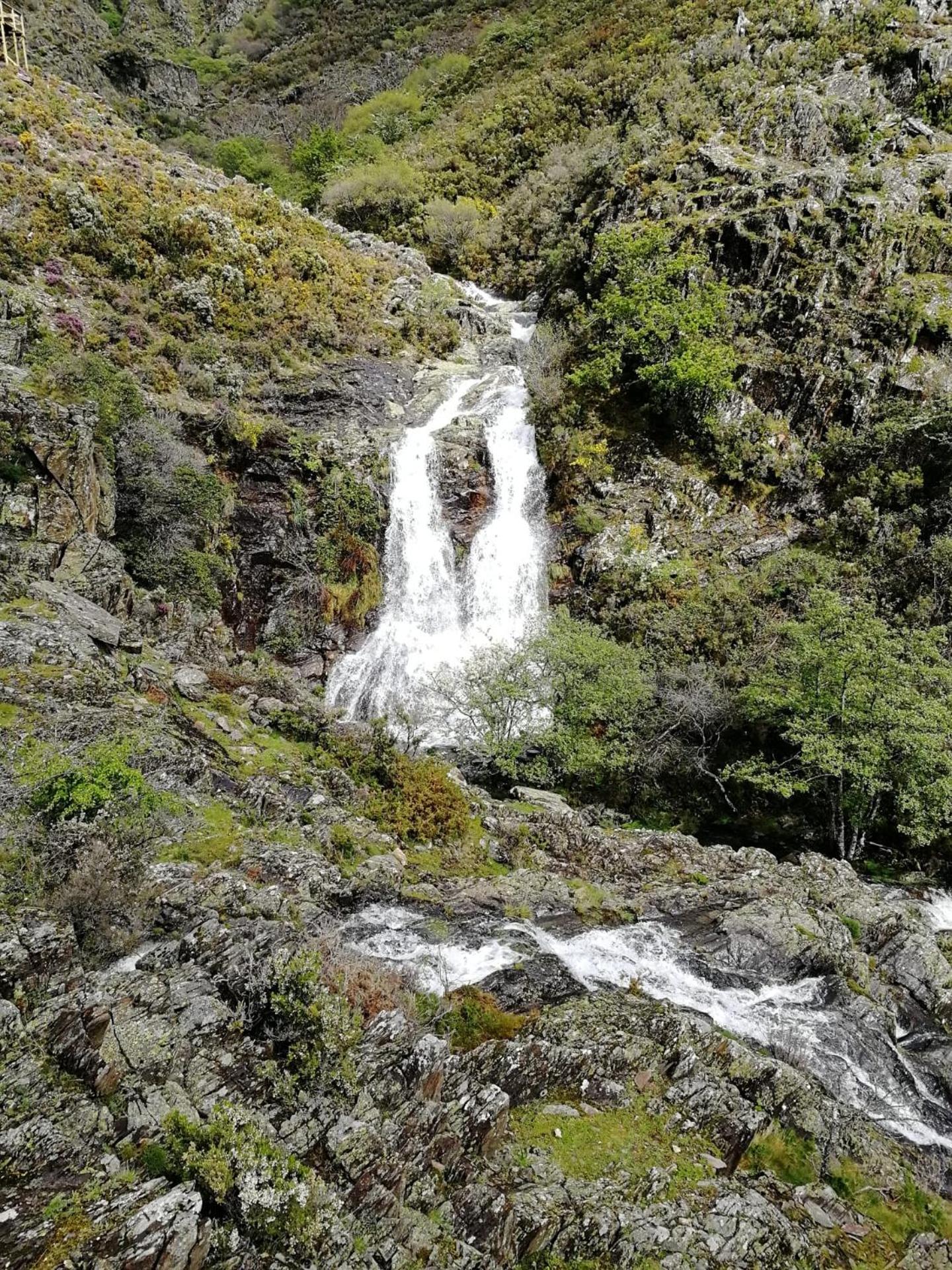 Photo 37