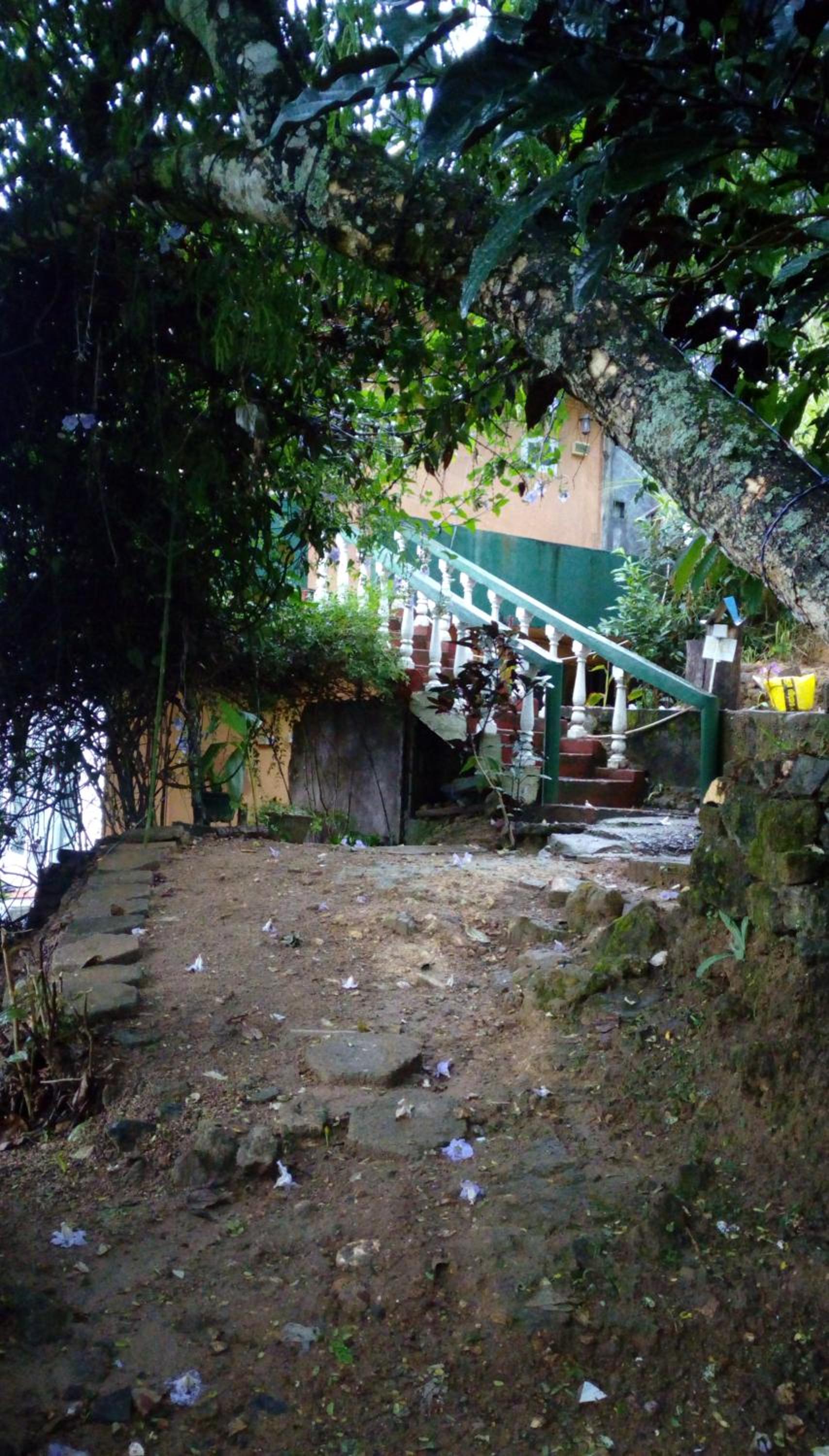 Photo 29