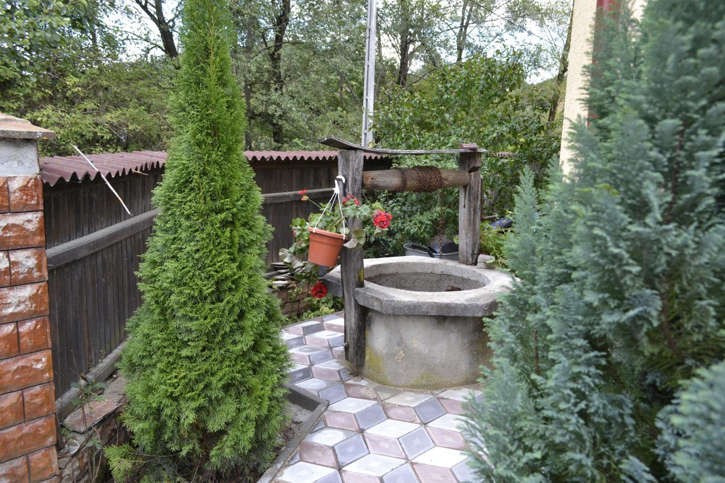 Photo 36