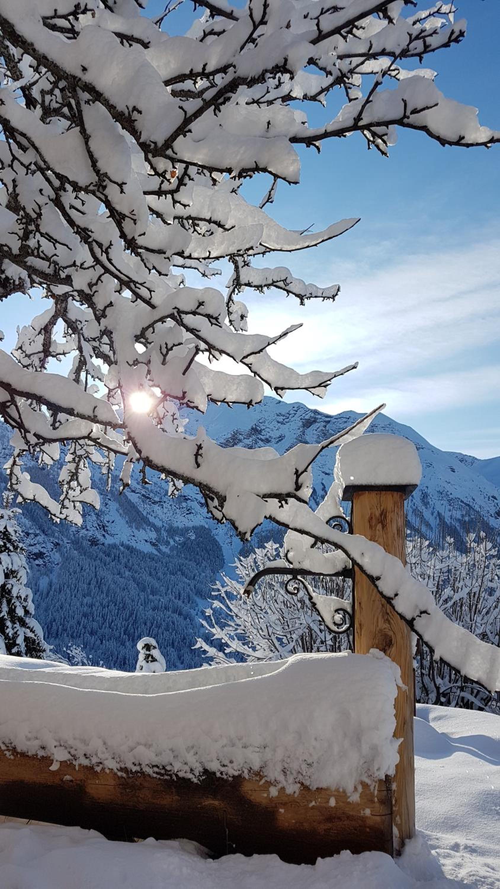 Chalet la Forestière view 5