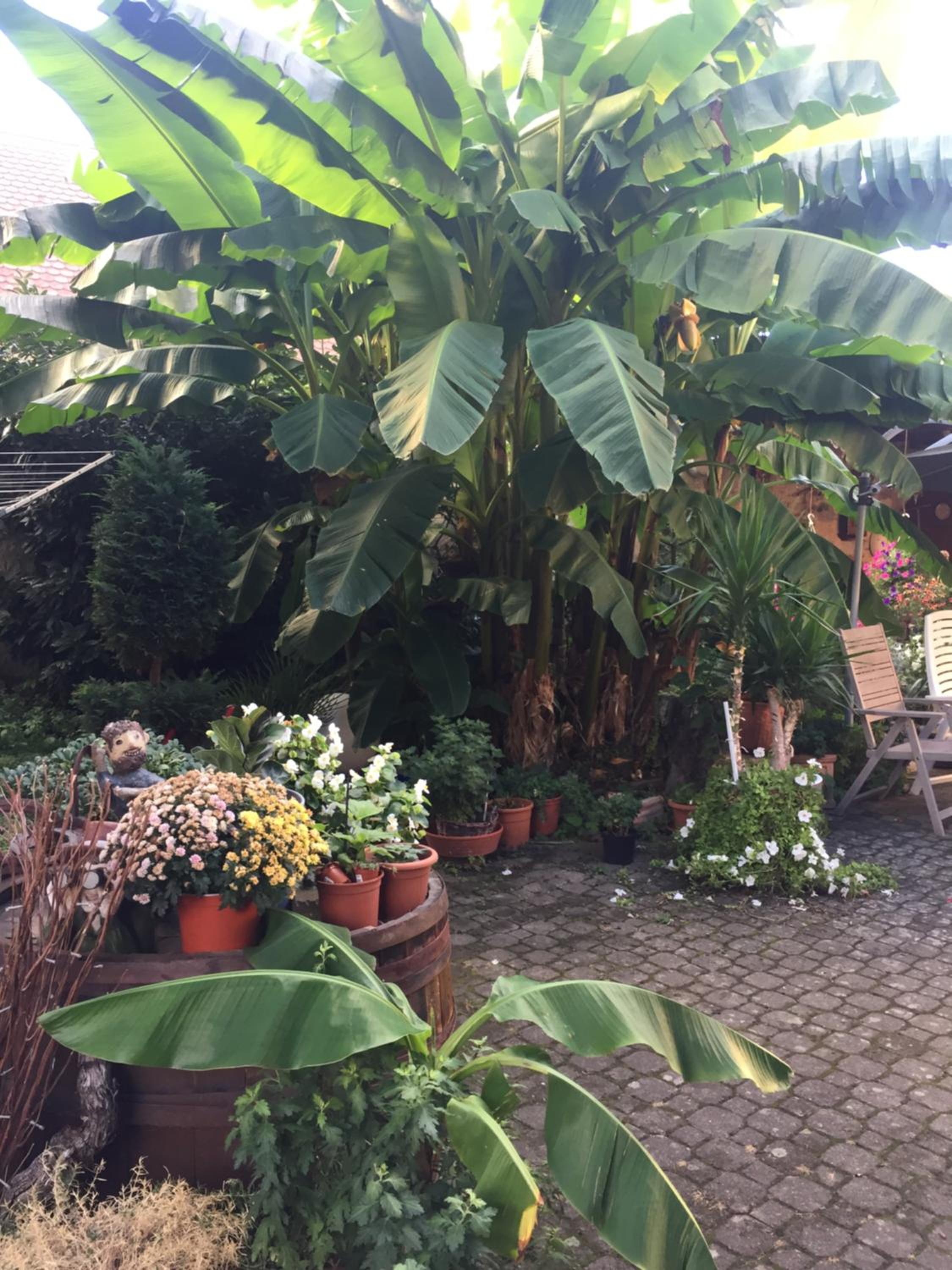 Haus Gisela view 4