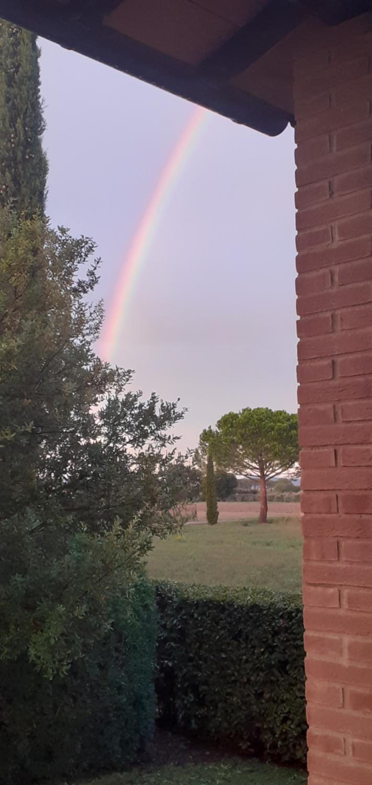 Agriturismo Le Chiare Stelle view 4