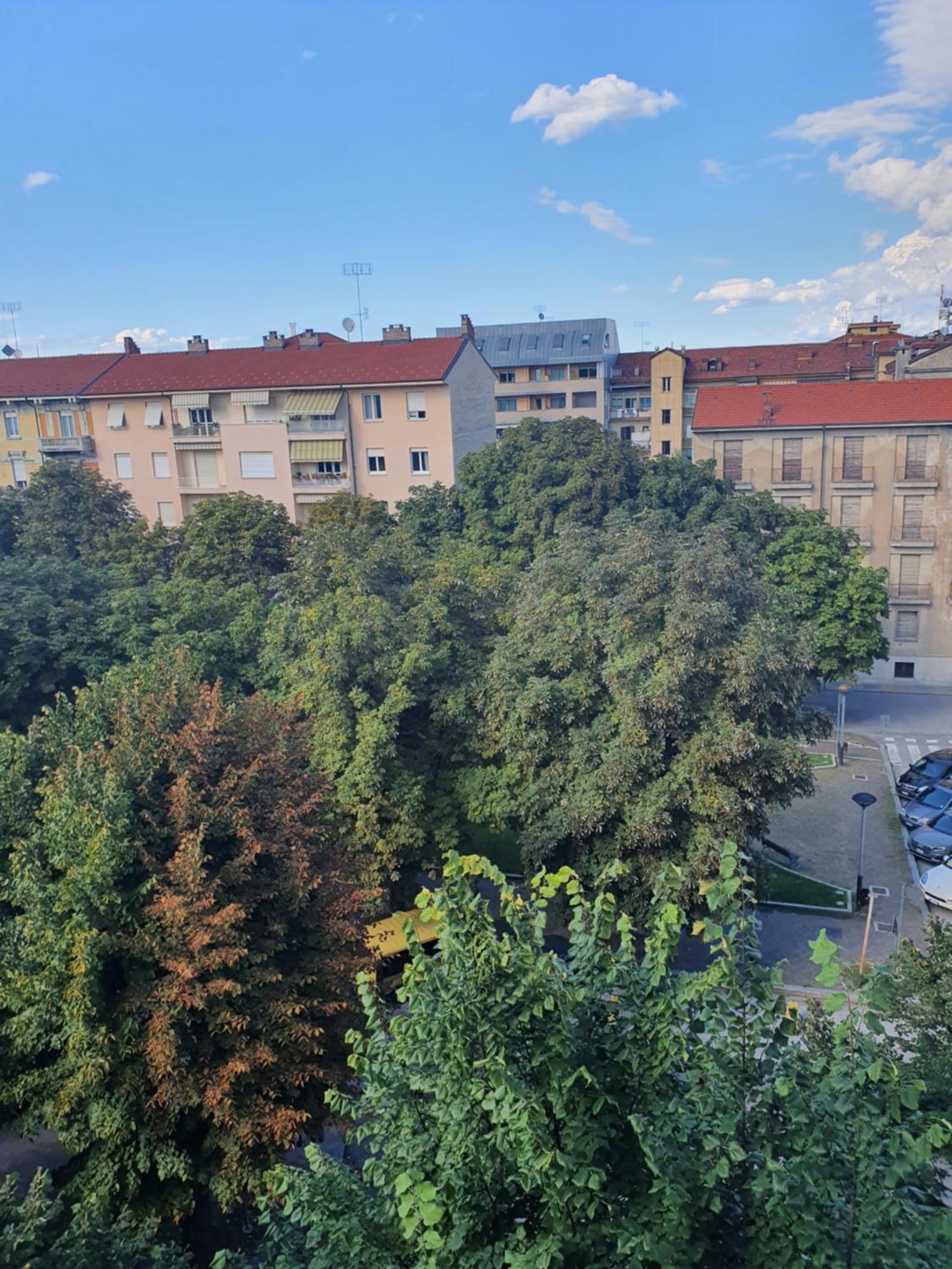 Pellico Stylish Apartments view 3