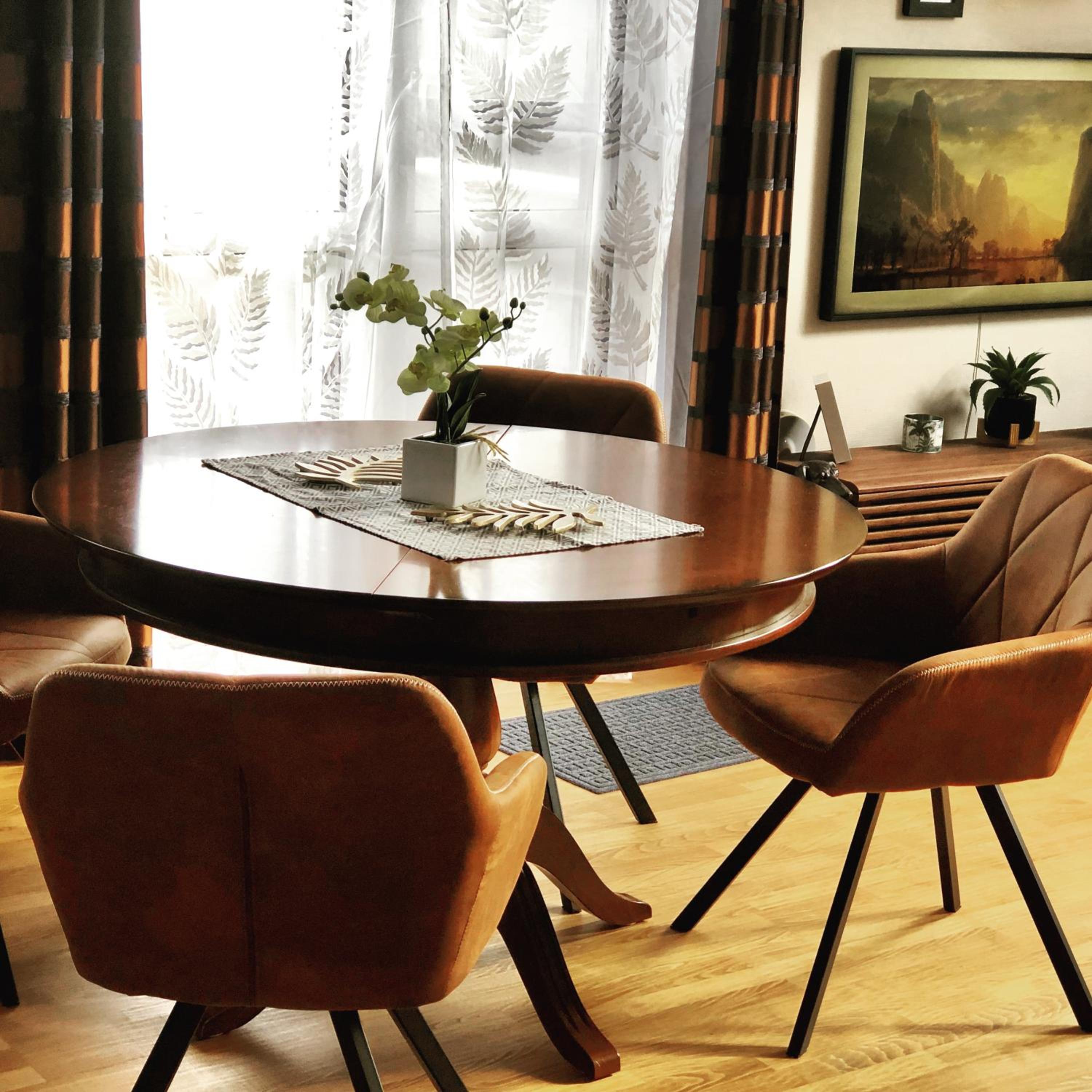 Birdland Apartman view 5