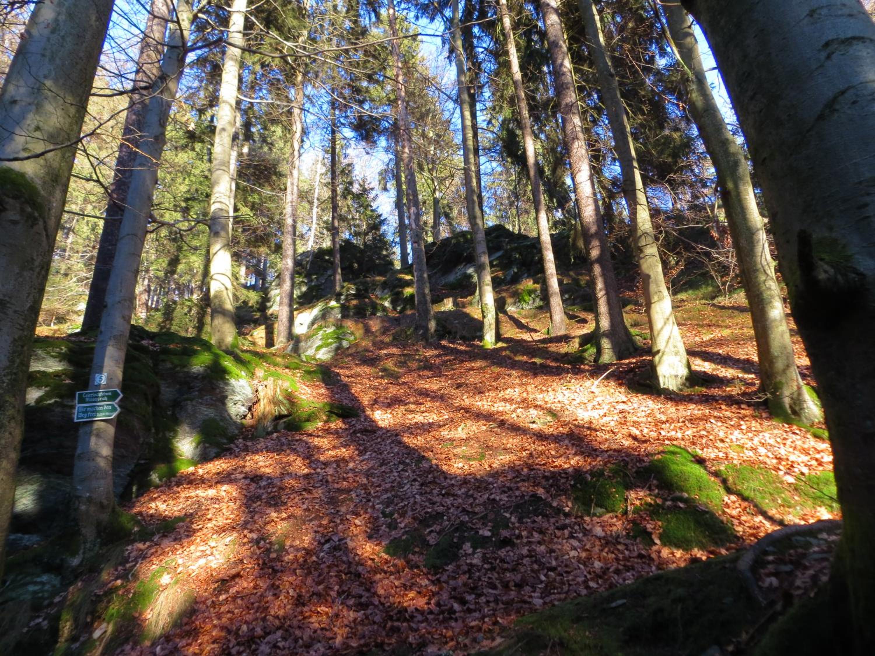 Ferienwohnungen Breternitz view 4