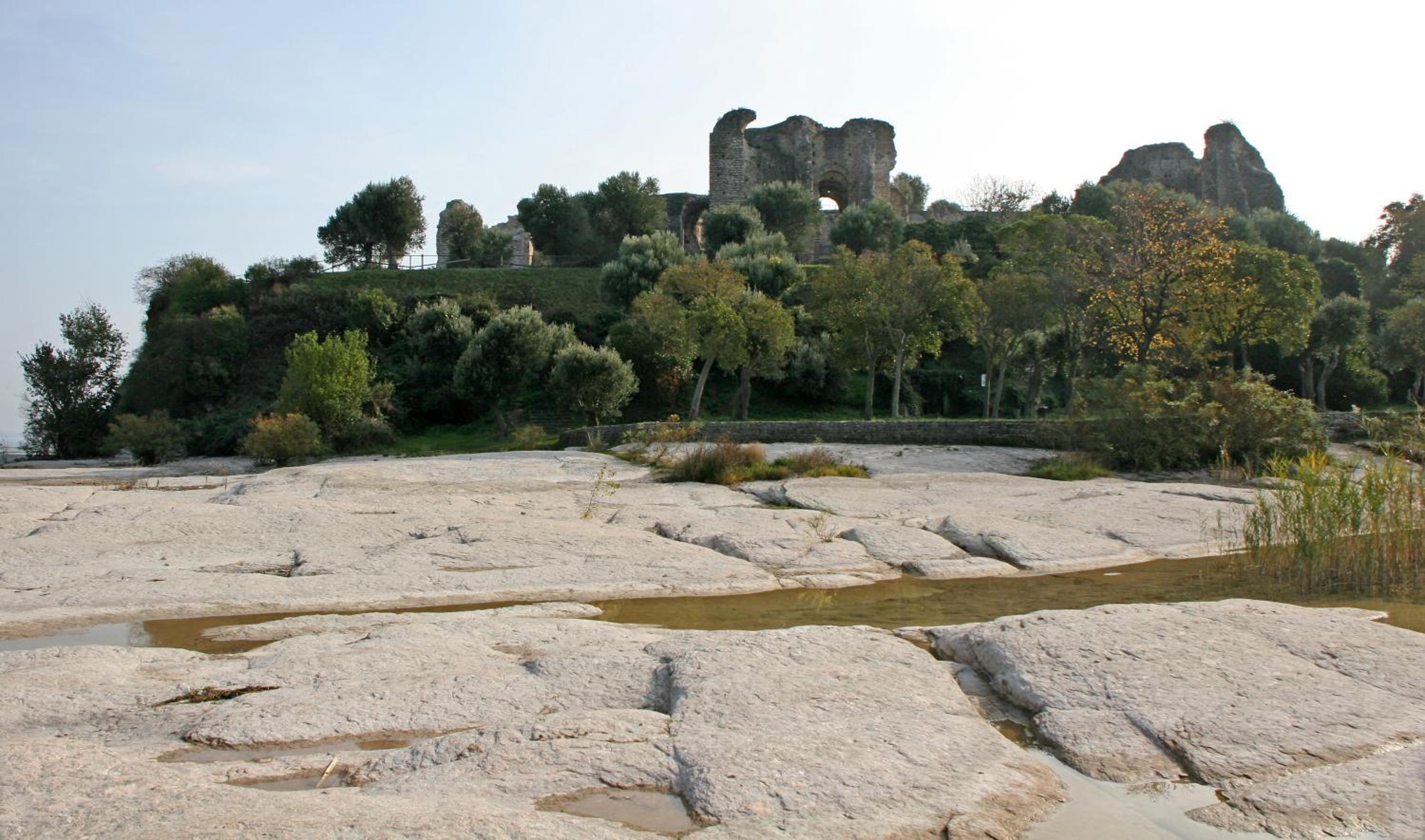 Photo 44