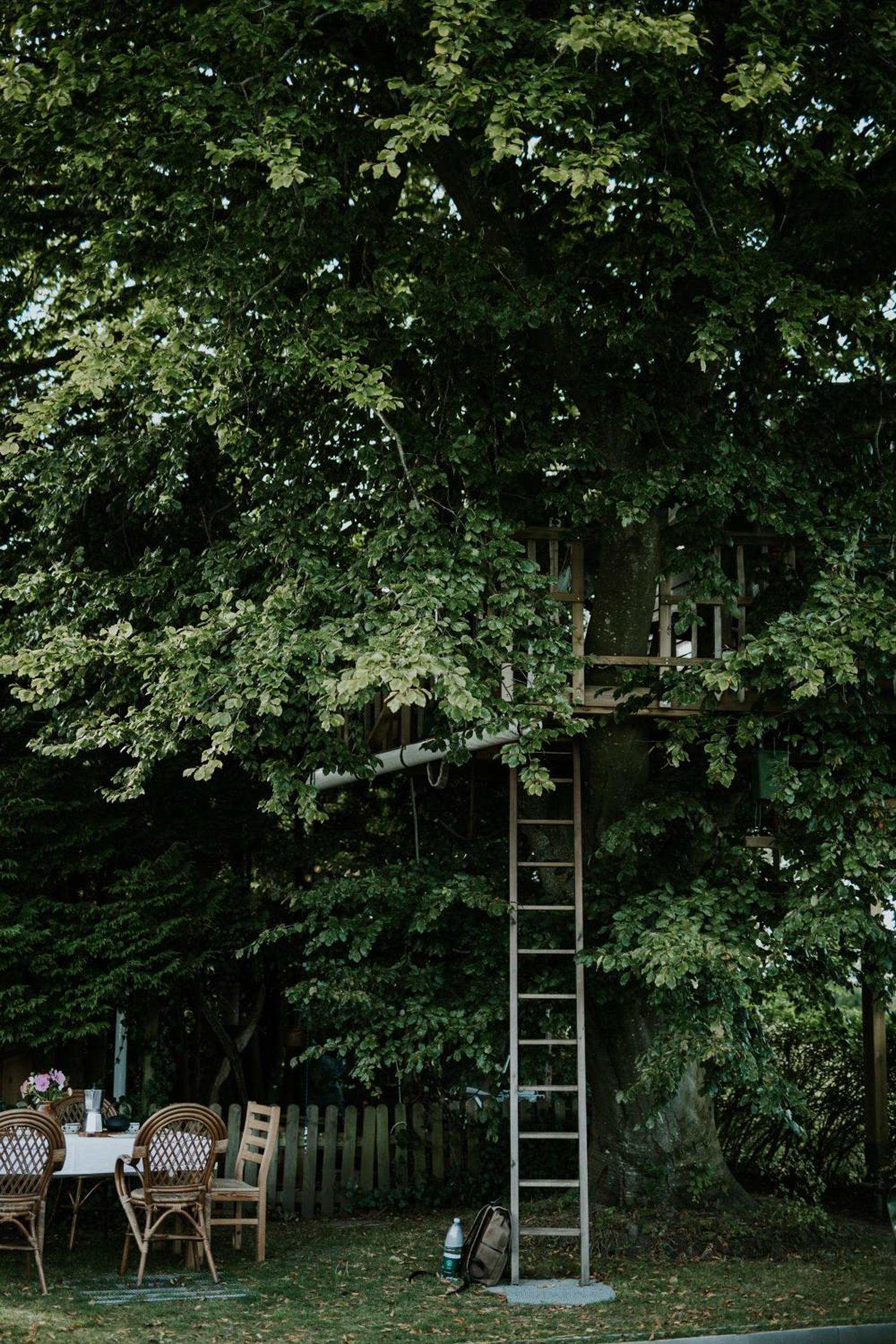 Treehouse escape