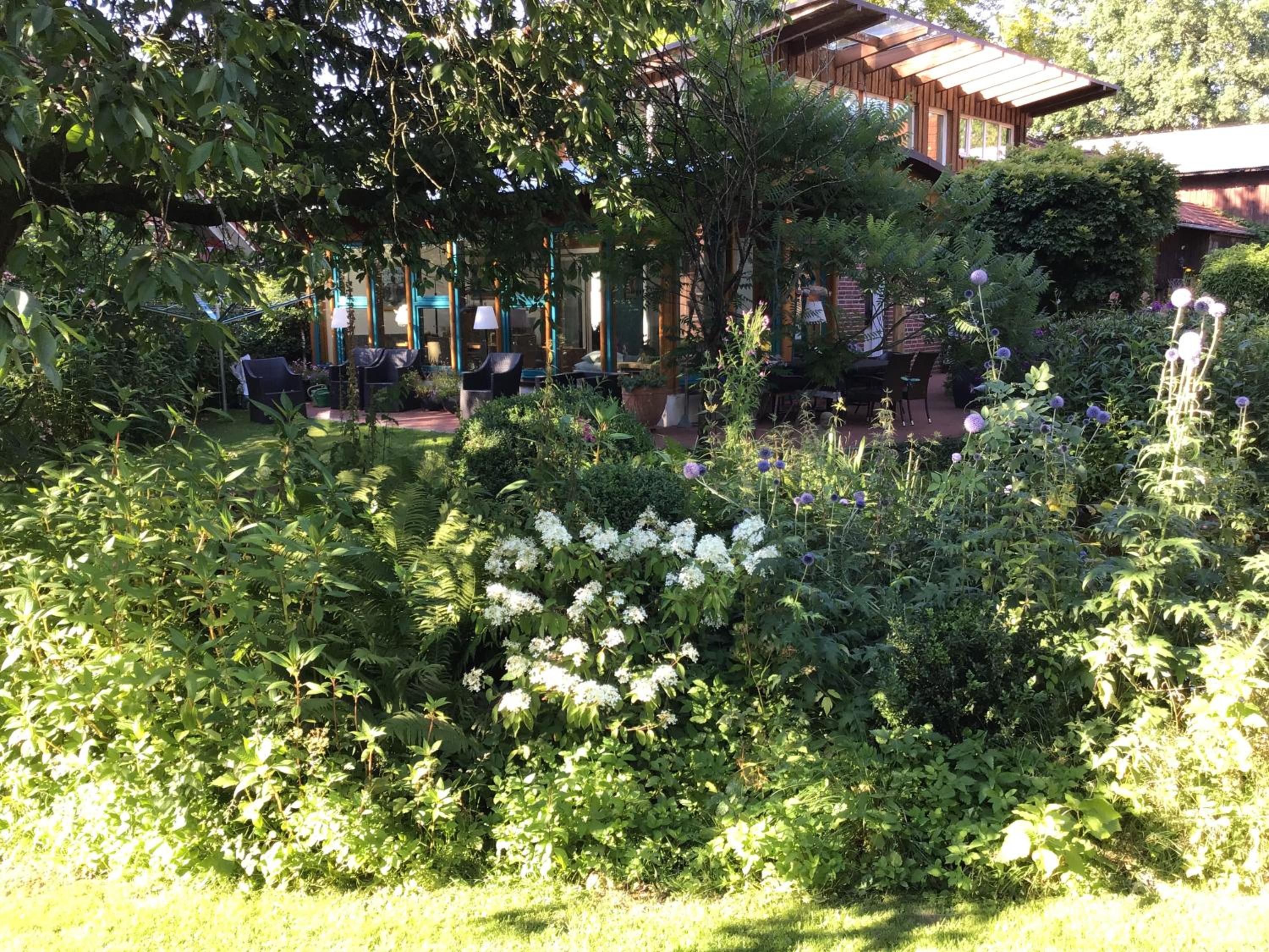 Photo 19