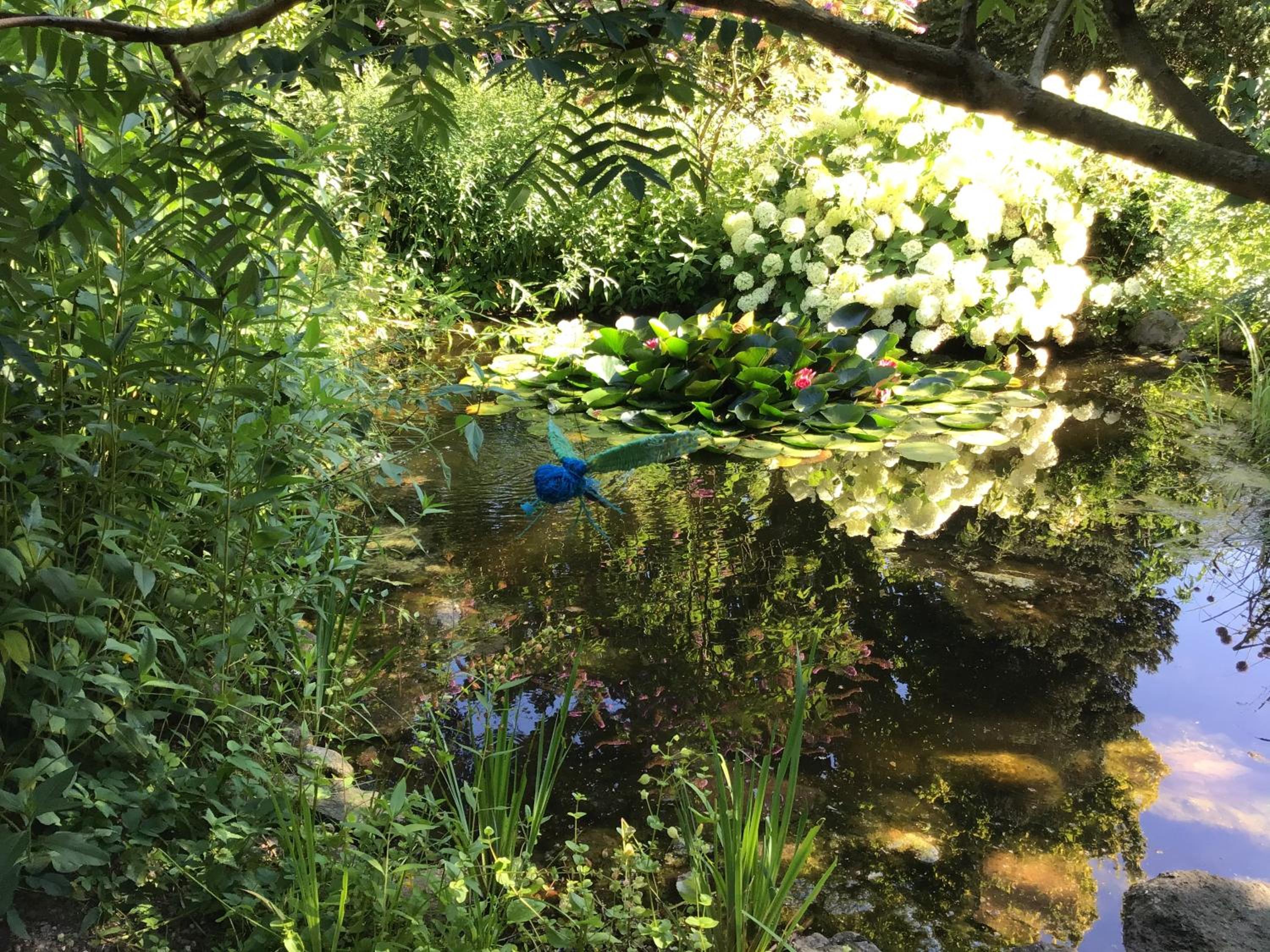 Photo 43