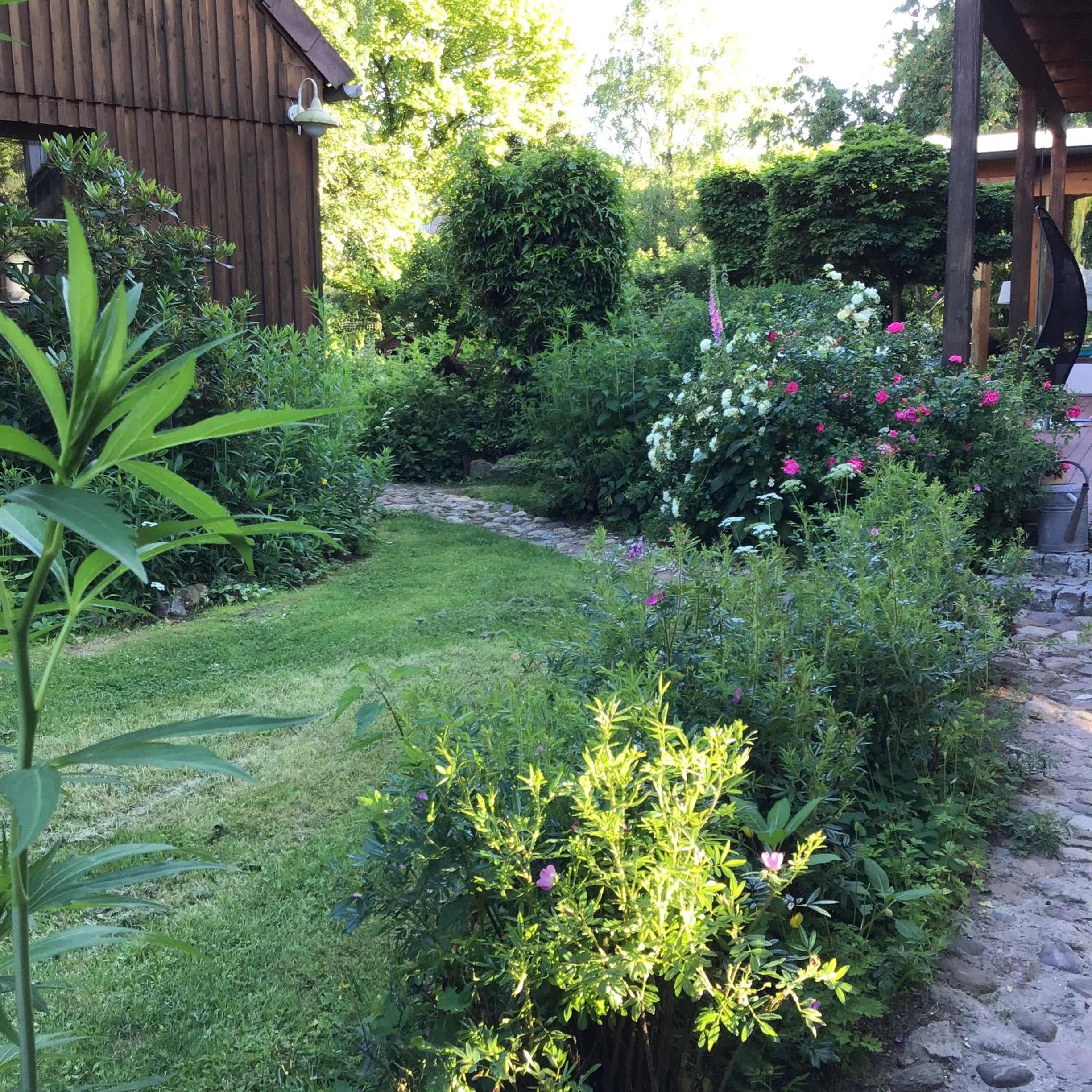 Photo 15