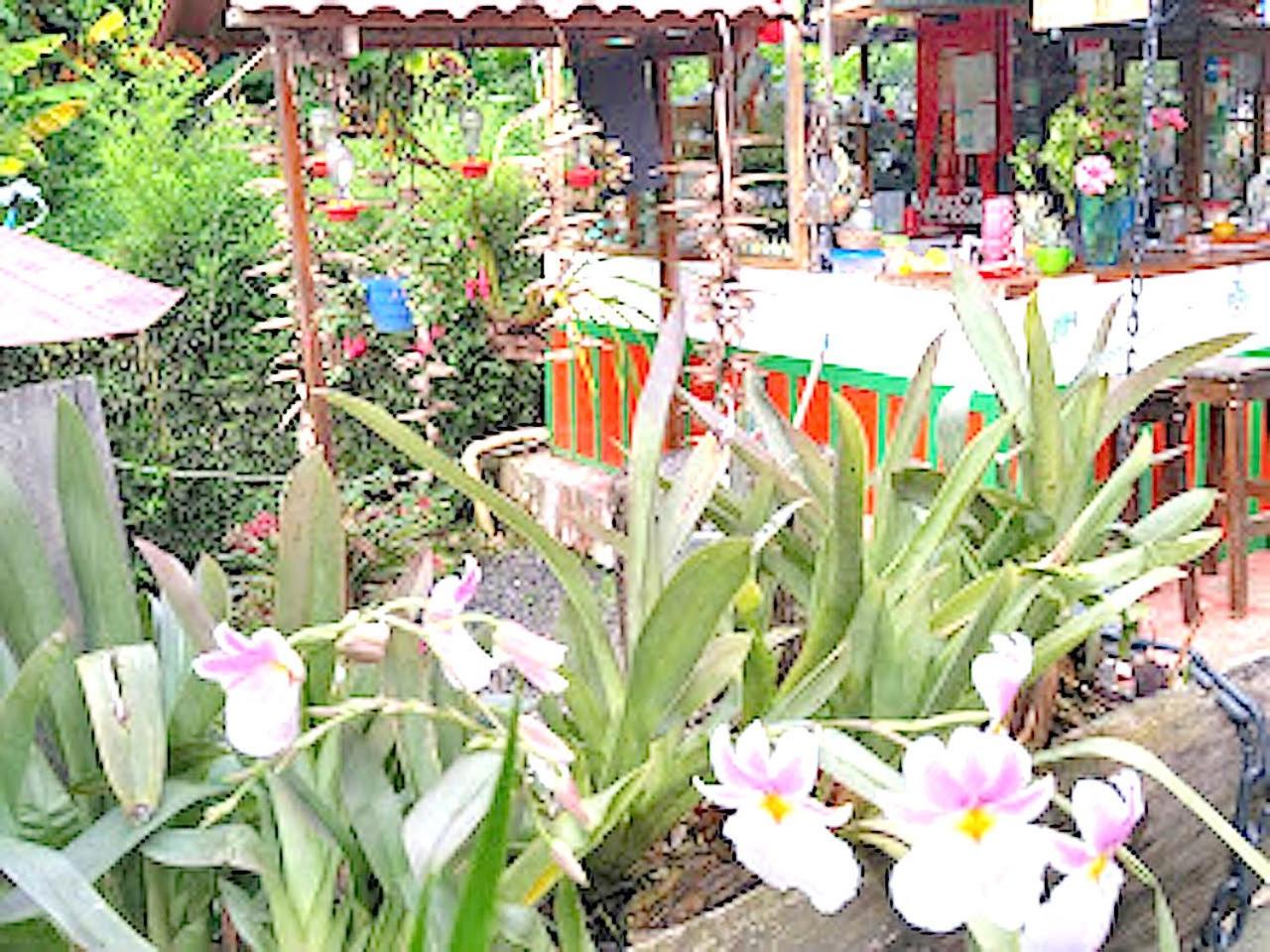 Hostal Estrella de Agua