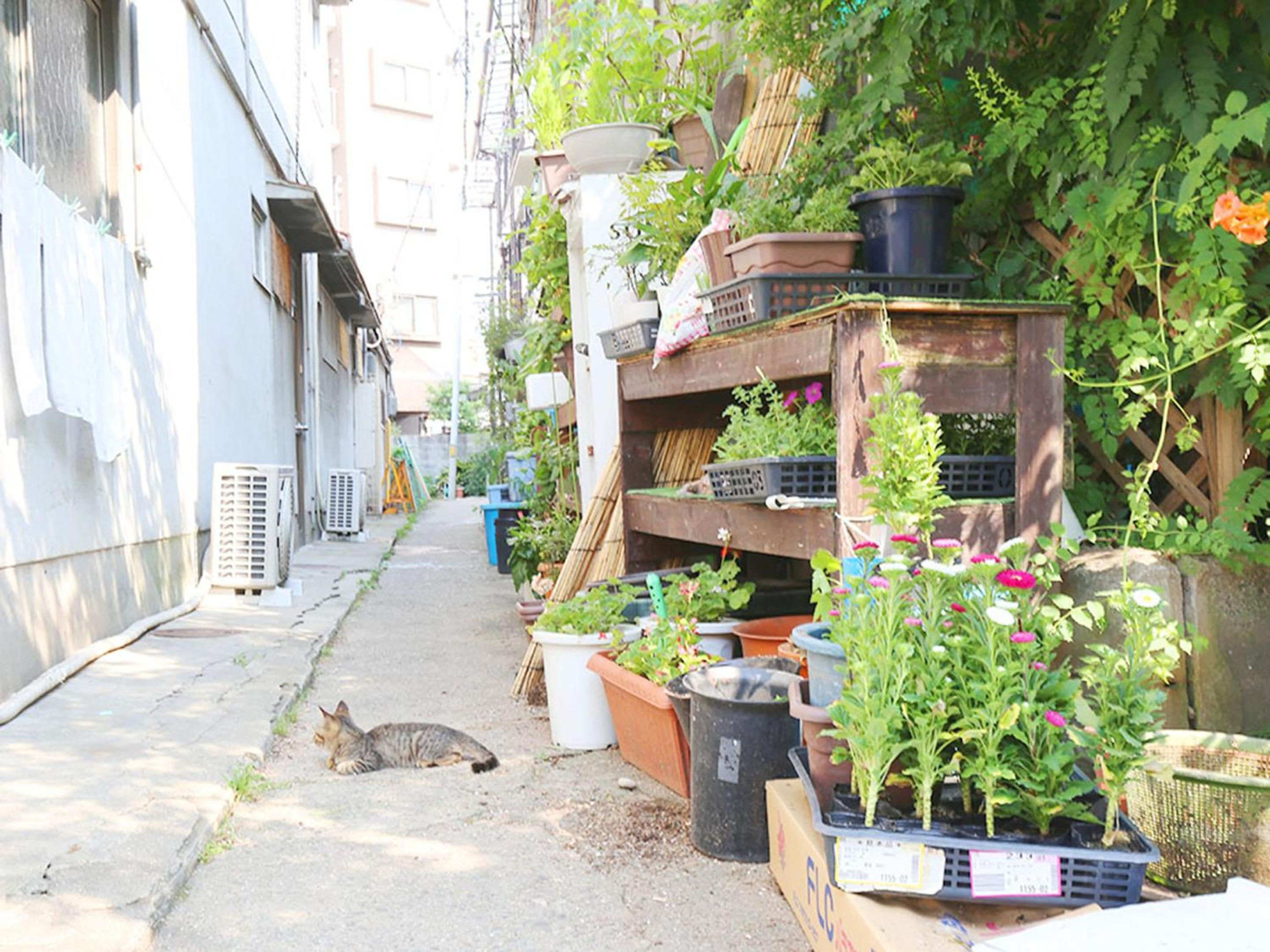 Hostel J Culture168