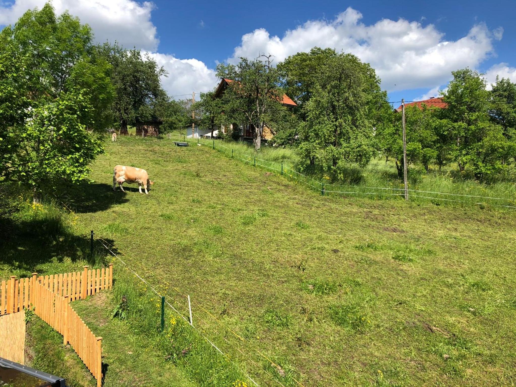 Ferienwohnung Fam. Unterberger