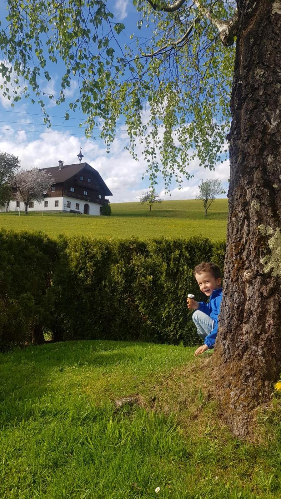Ferienwohnung Ronacher