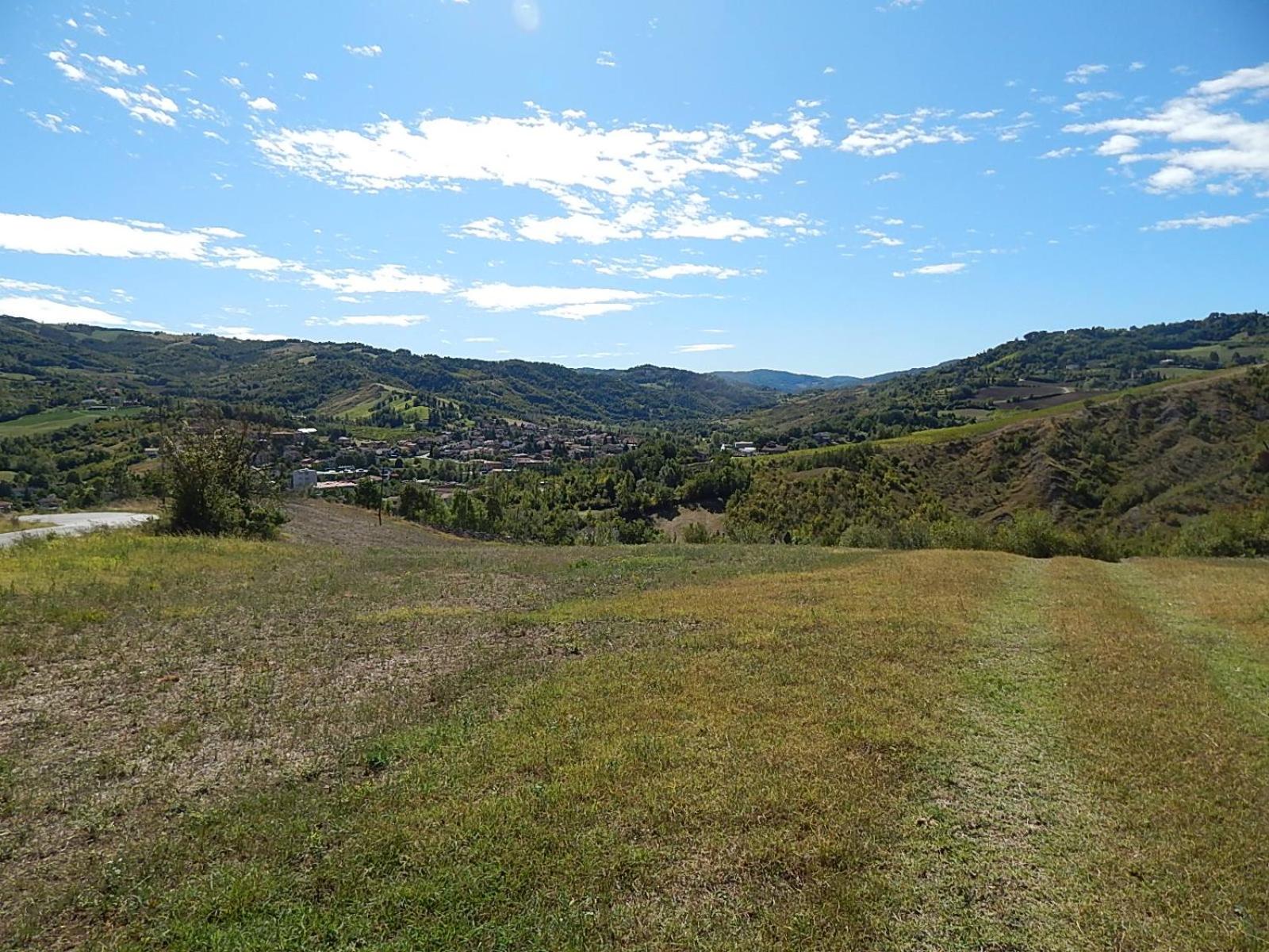 Photo 44