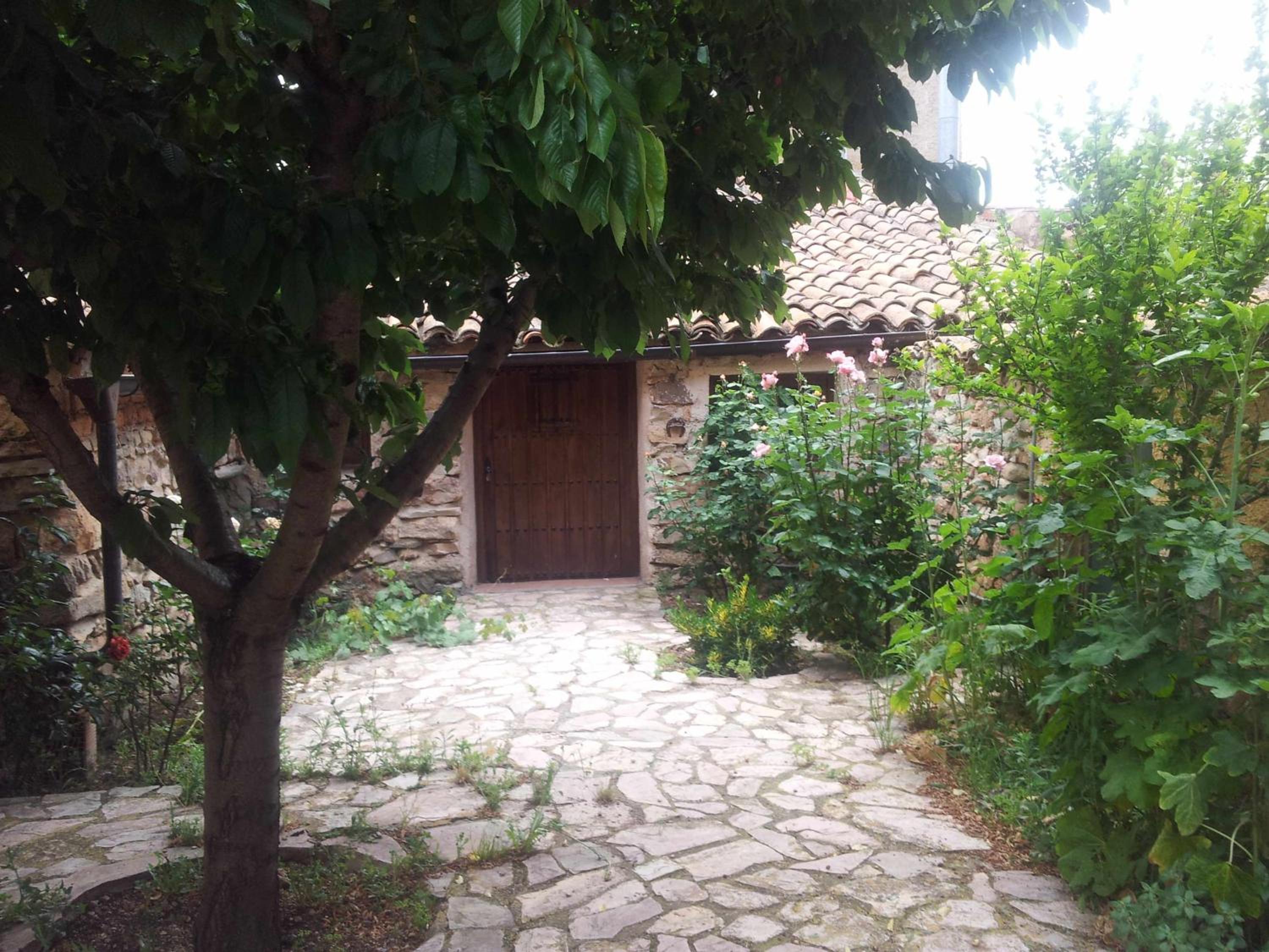 Photo 41