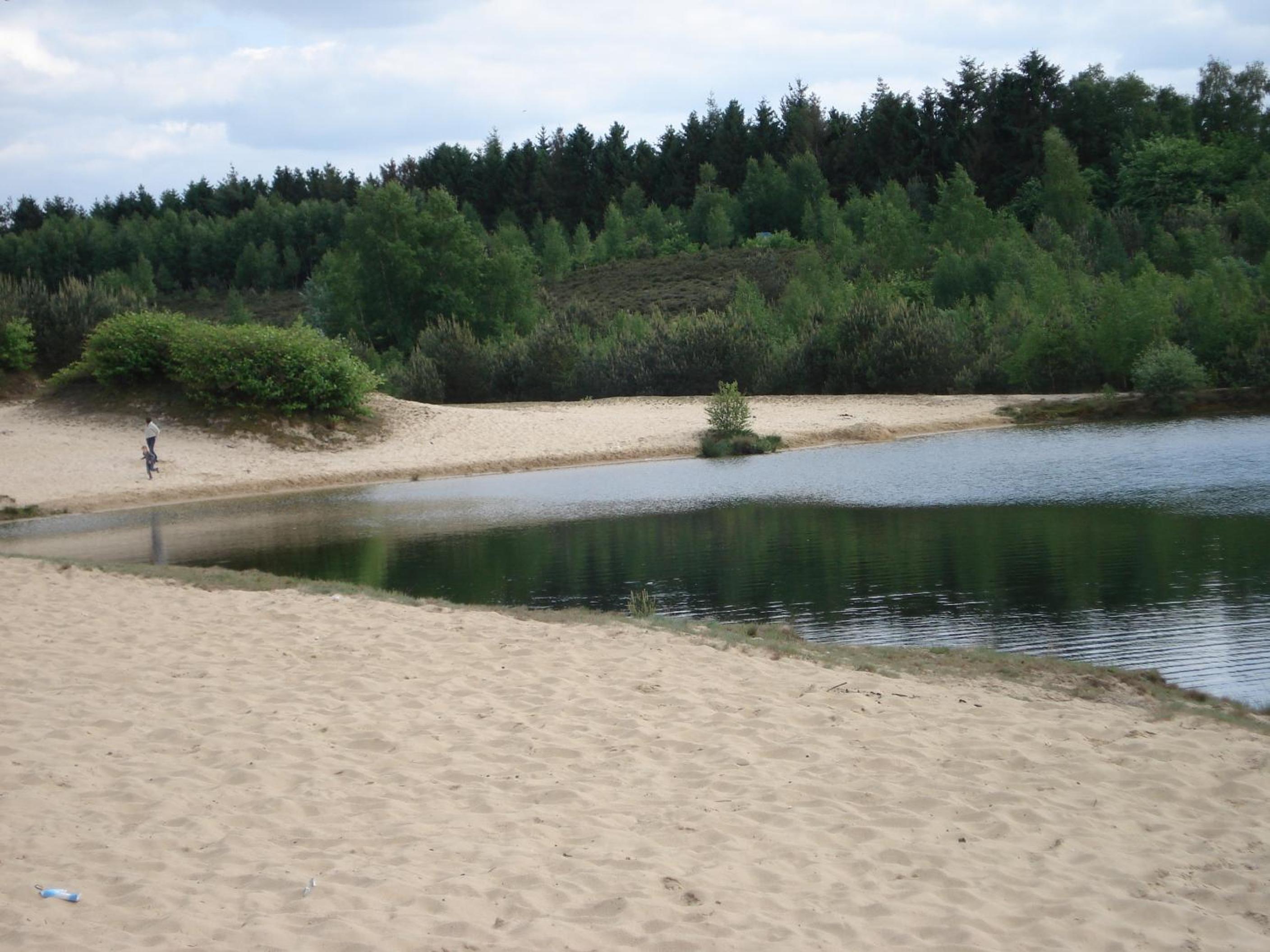 Photo 11
