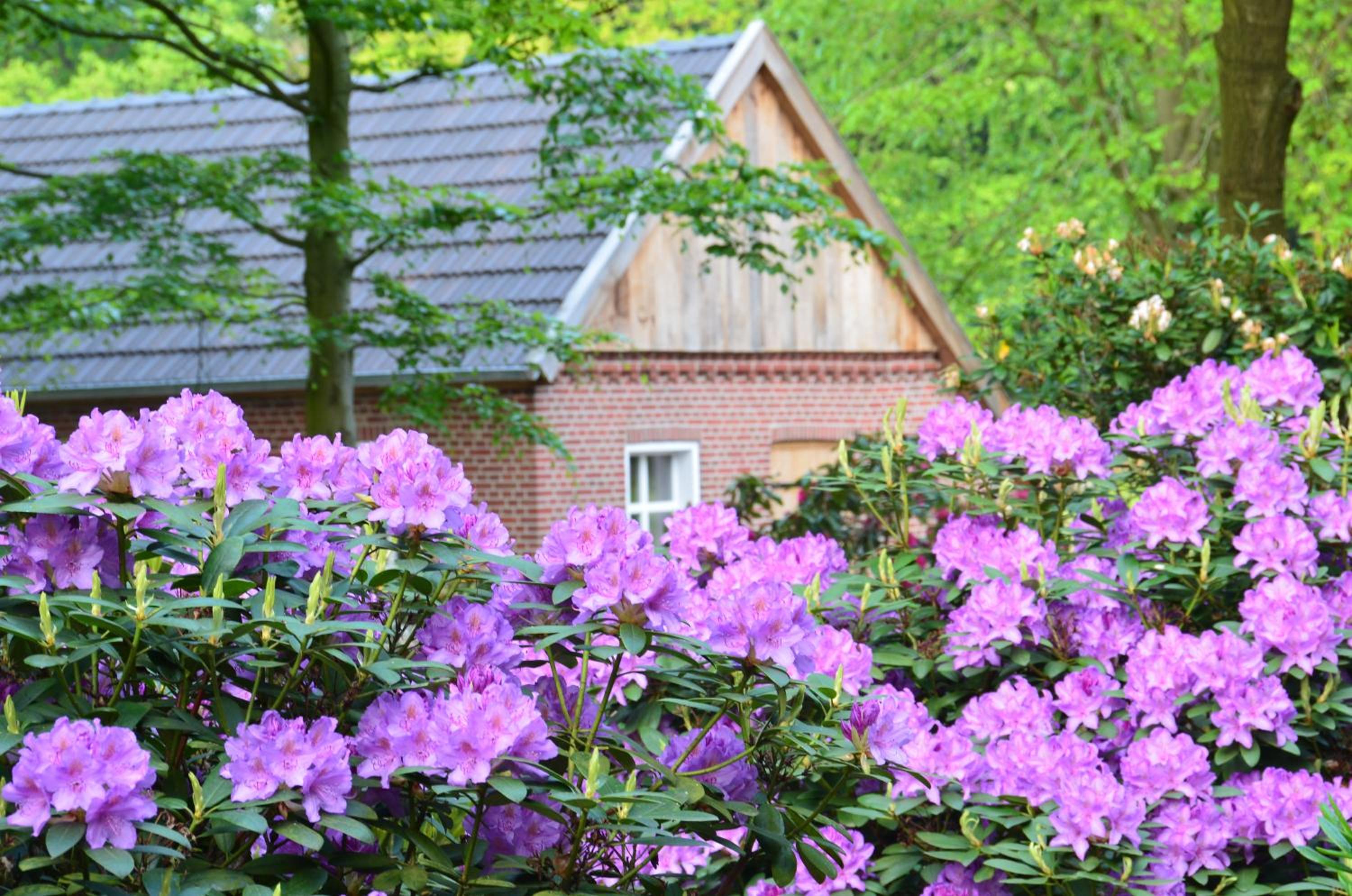 Landferienhof Garbert view 5