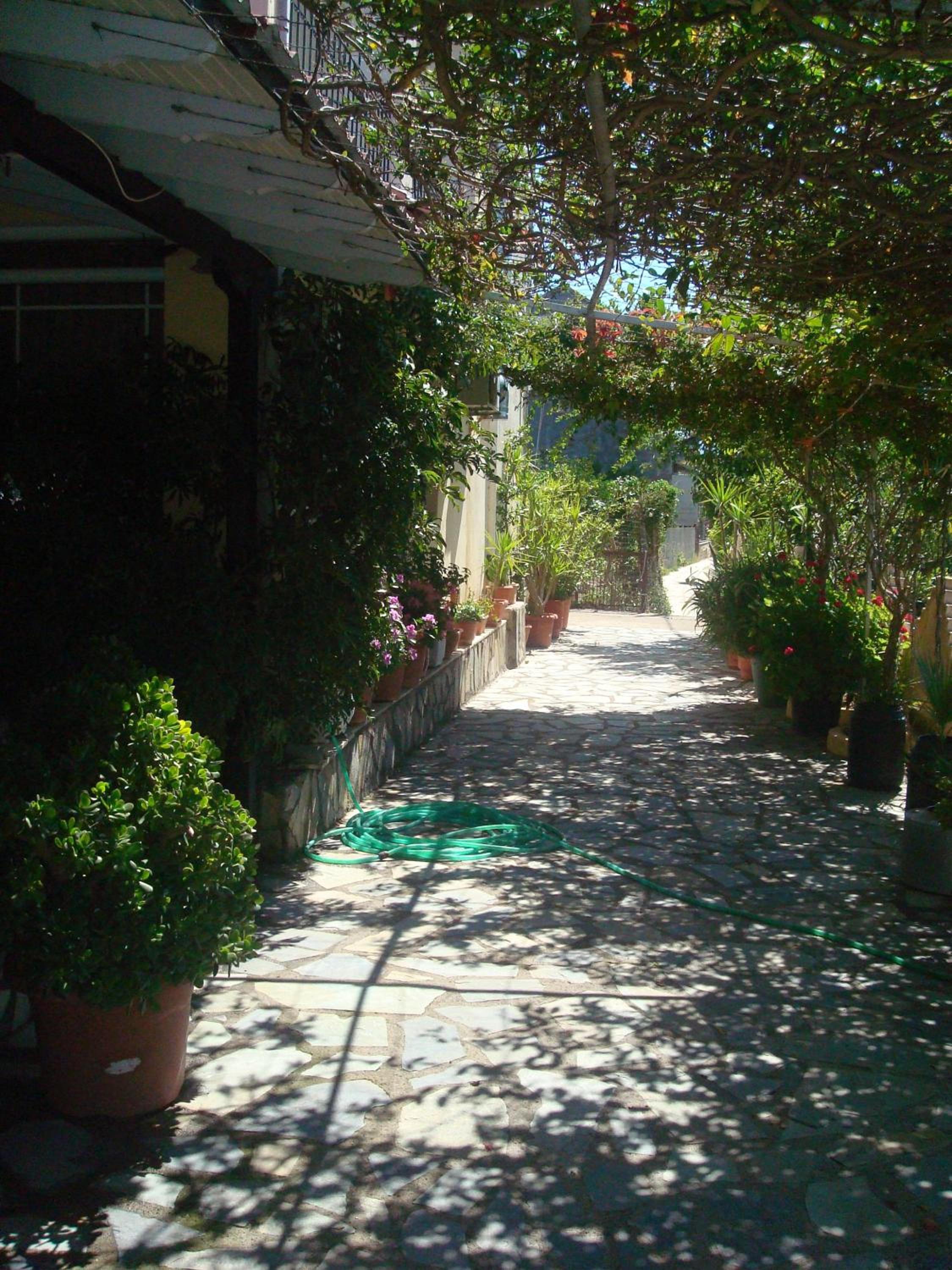 Polyxenis Rooms en Lygia — balance & terrace