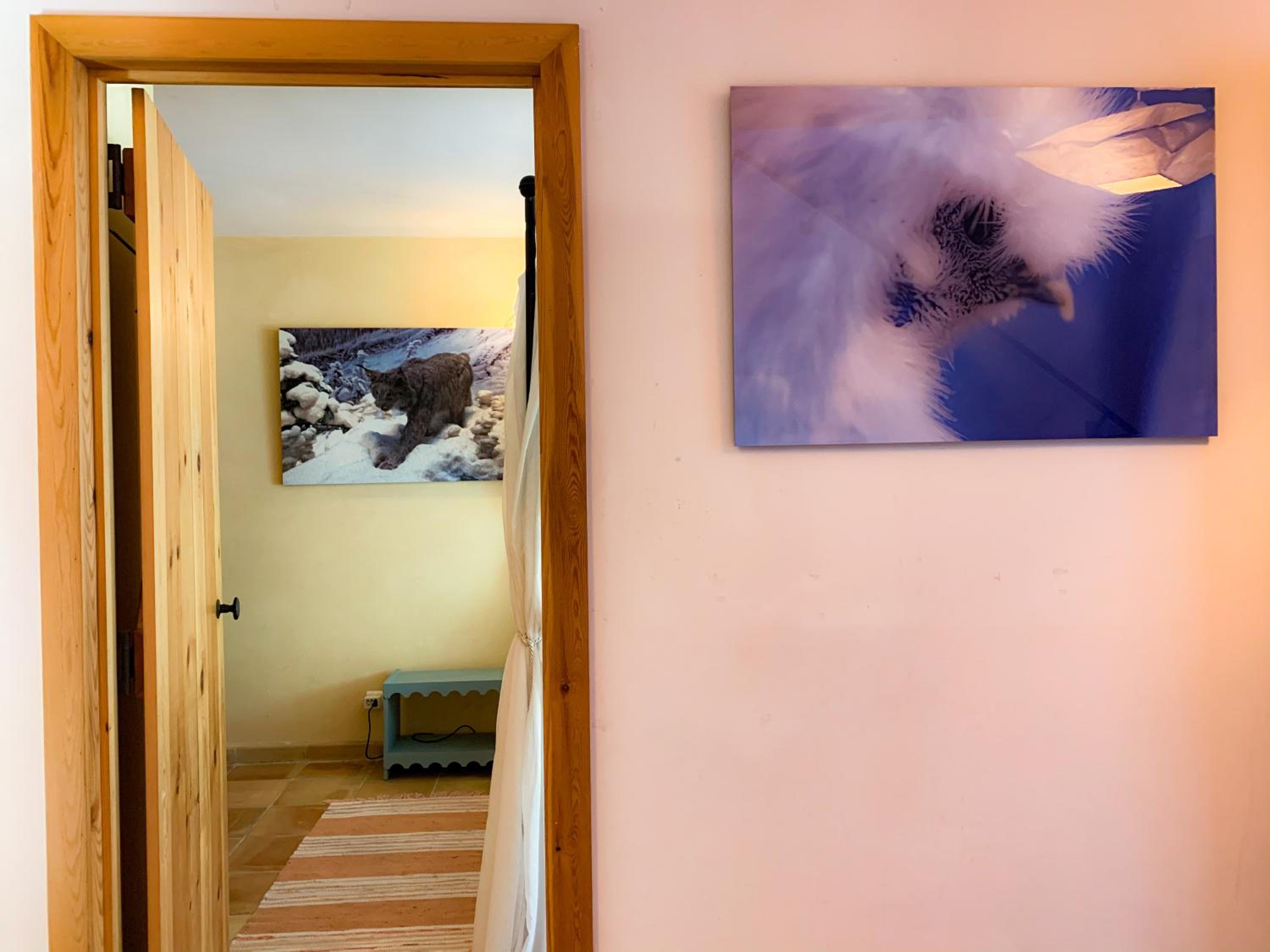 Holiday Home Les Plachettes